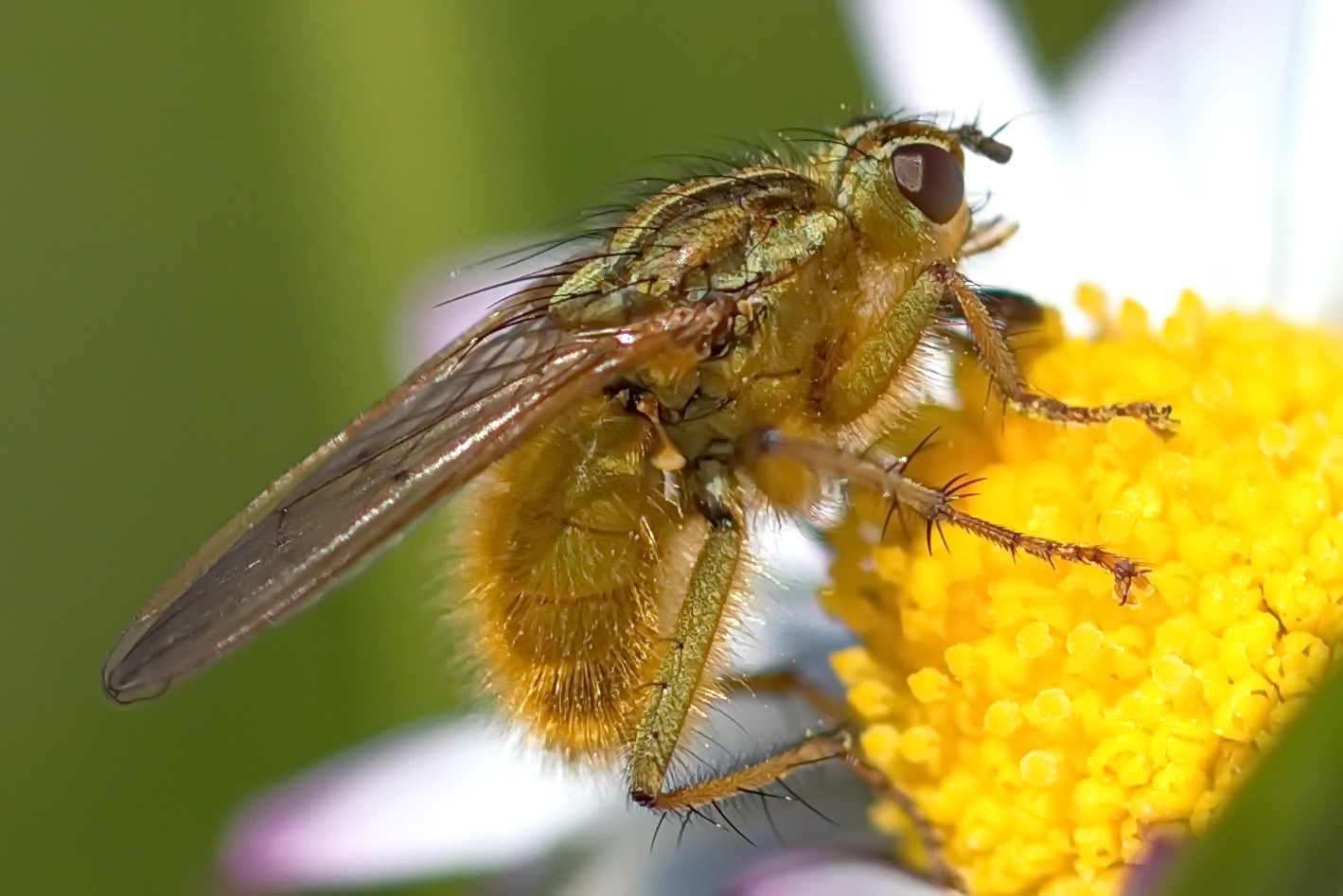 A very collaborative subject