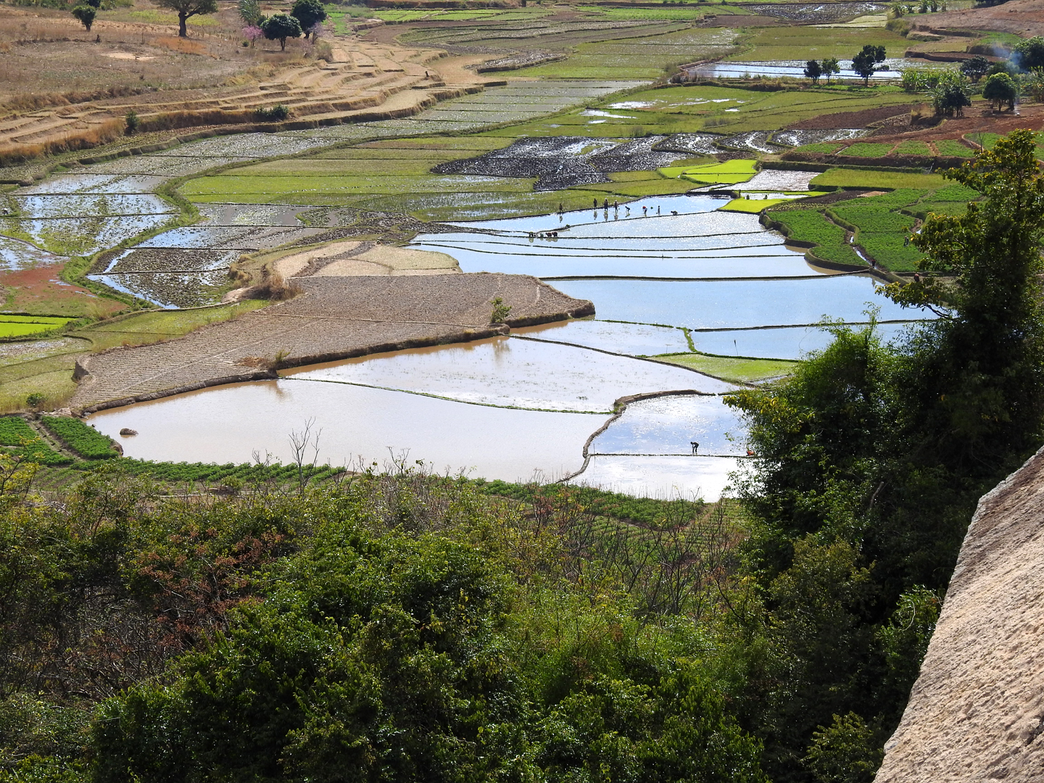 20-07-2019 Anja Community Reserve, Madagascar 2