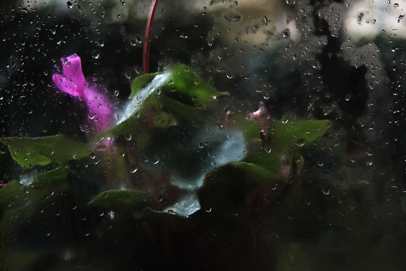 It's still raining ...