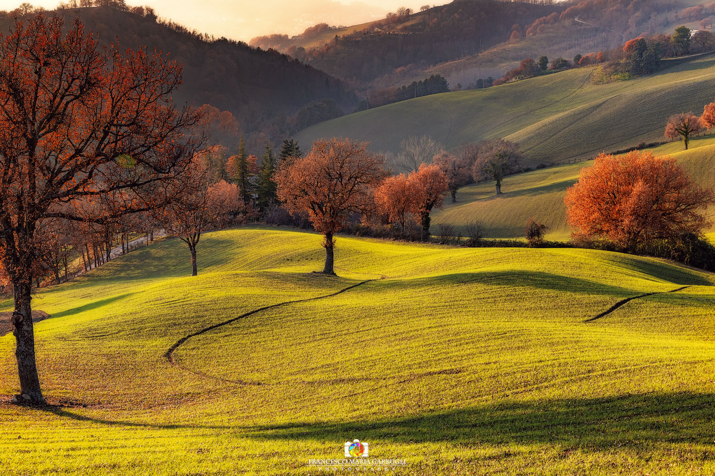 Paesaggio marchigiano....