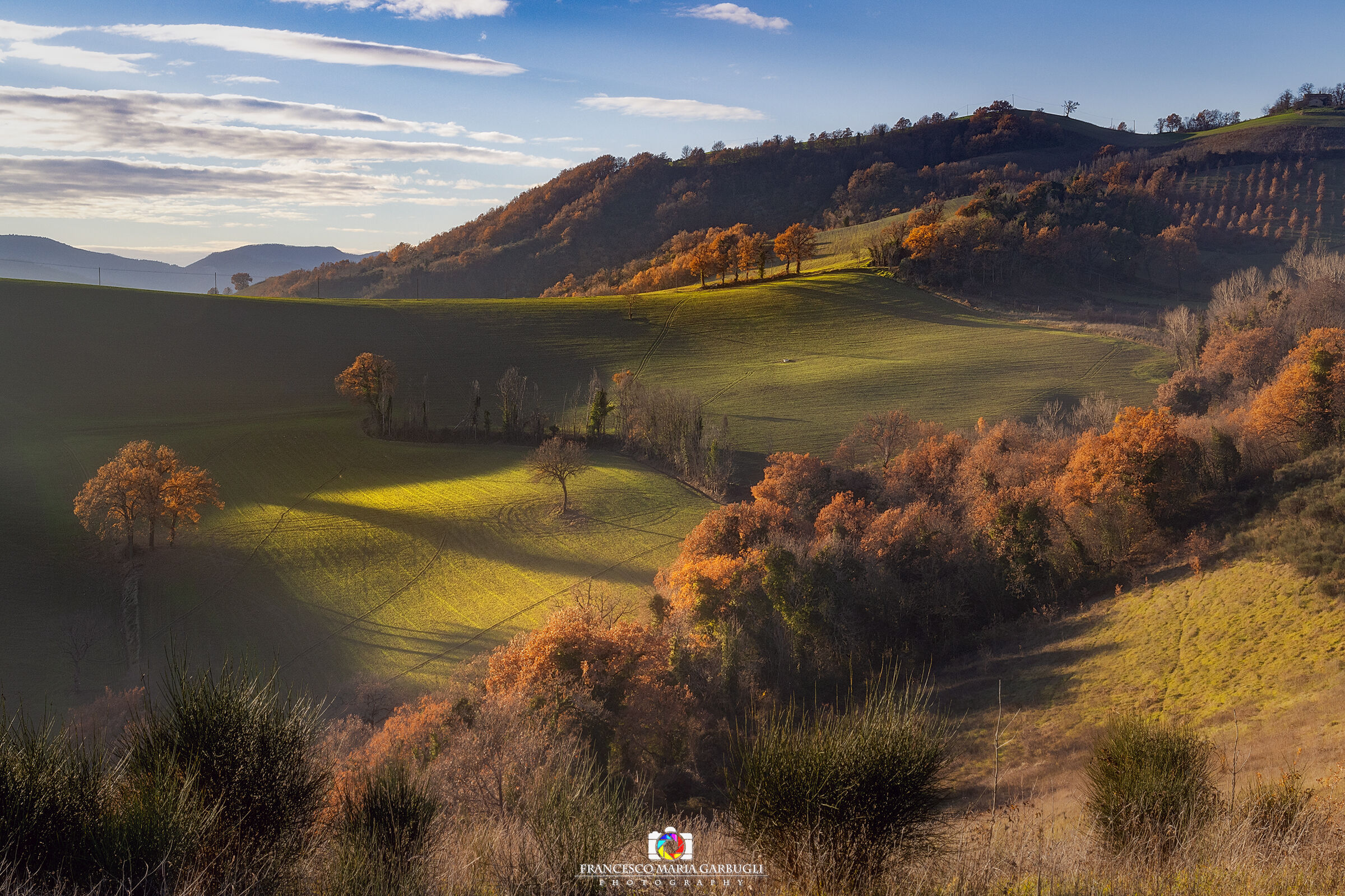 The rolling hills of the Marche...