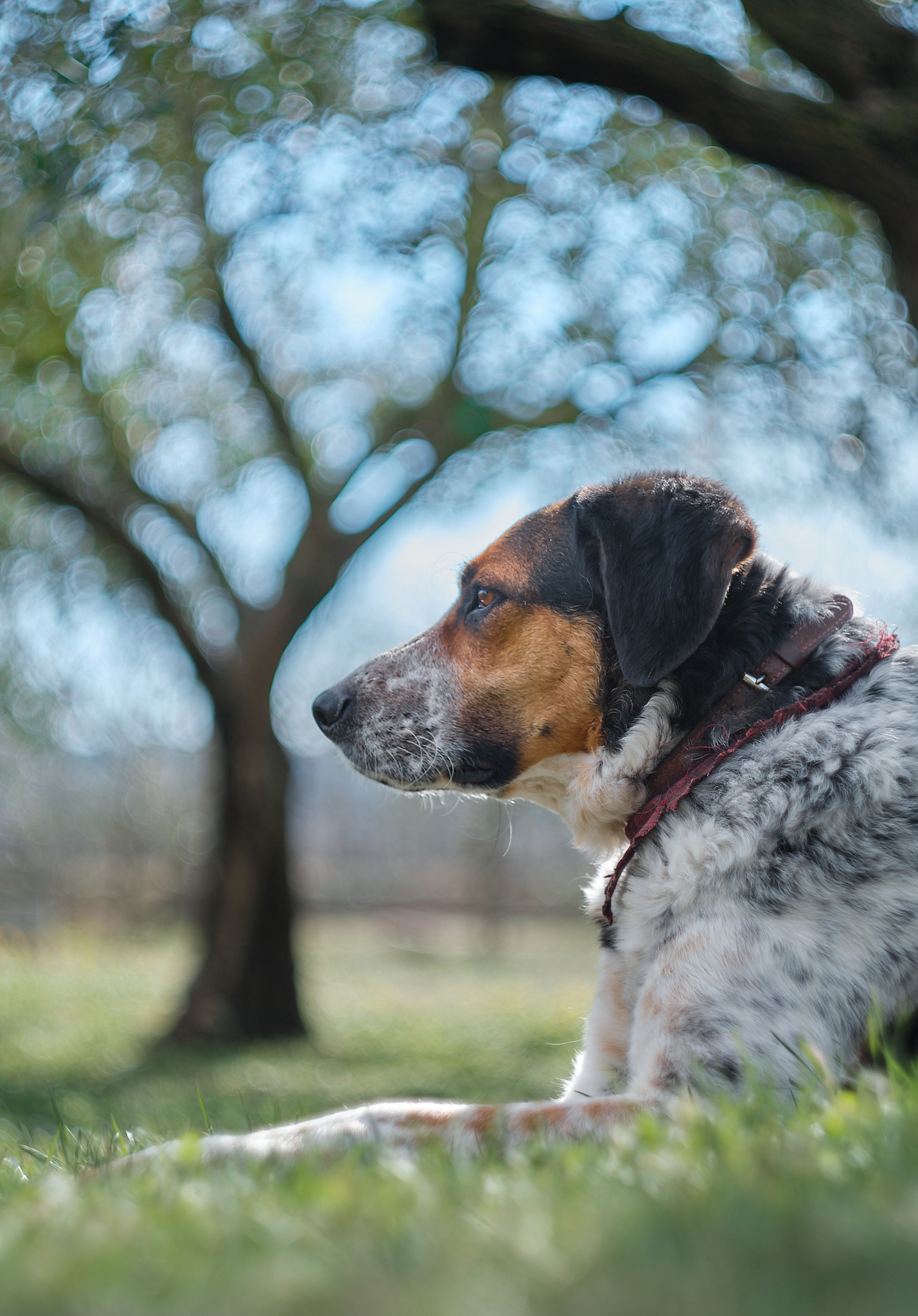 Scattata con Zenit Helios 44-4 m 1987