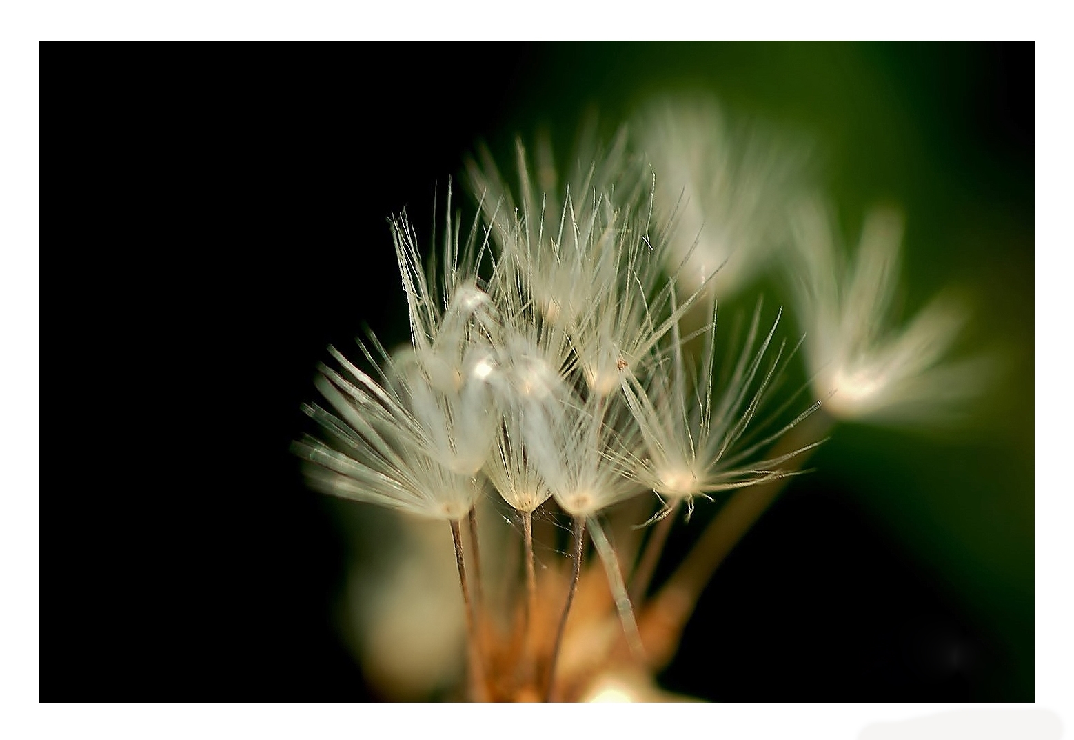 Untitled Photo