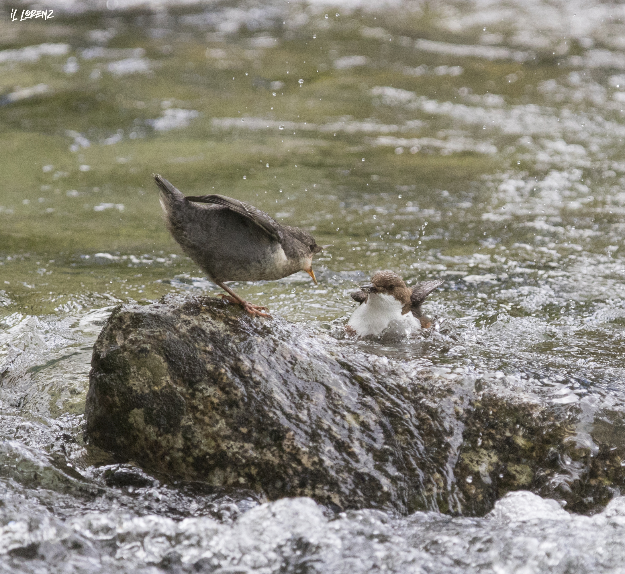 but where have you been...?