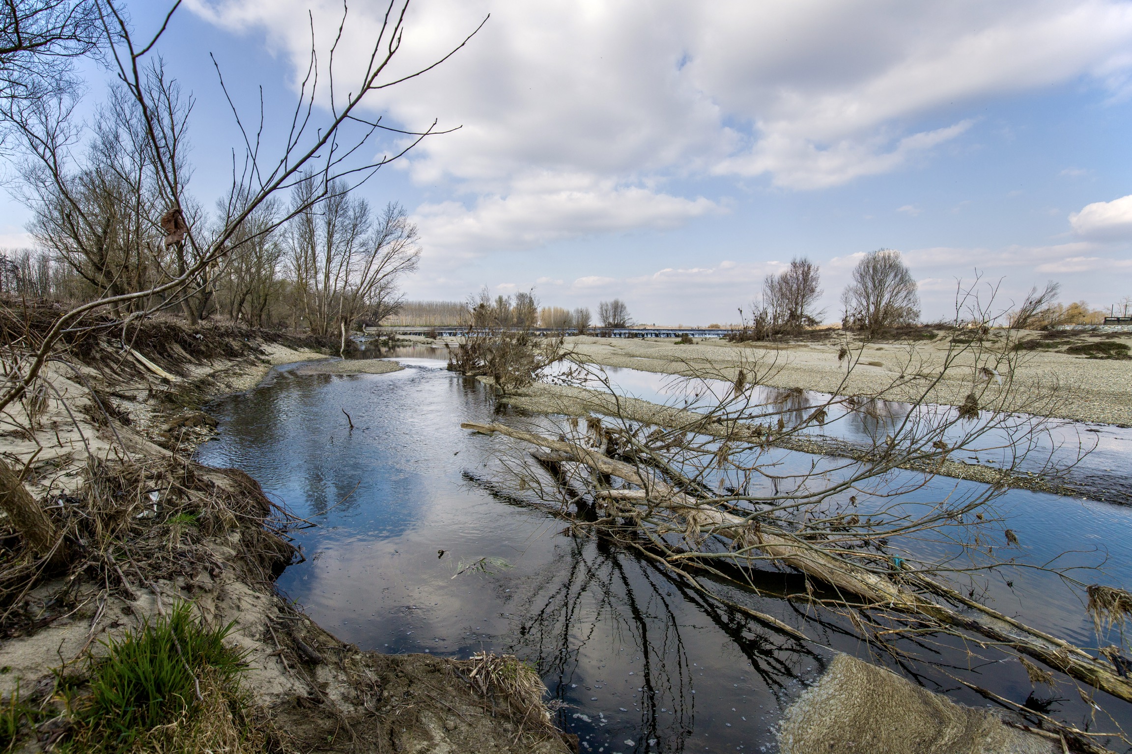 Nell'alveo del fiume Sesia