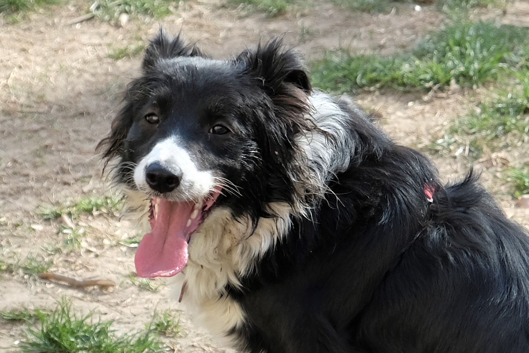 Tired, dirty but happy