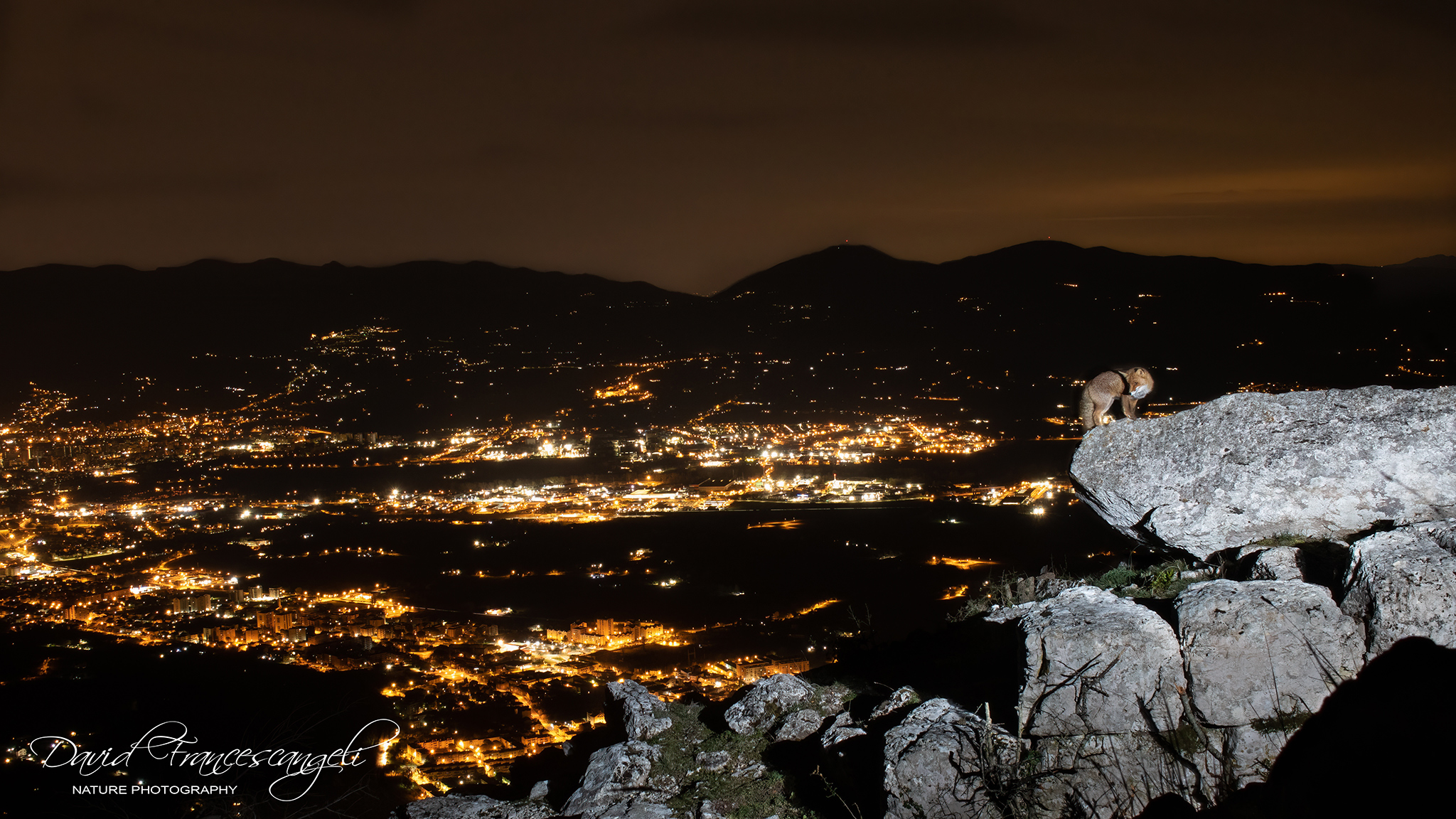 La mia Città - Terni (wild) by Night