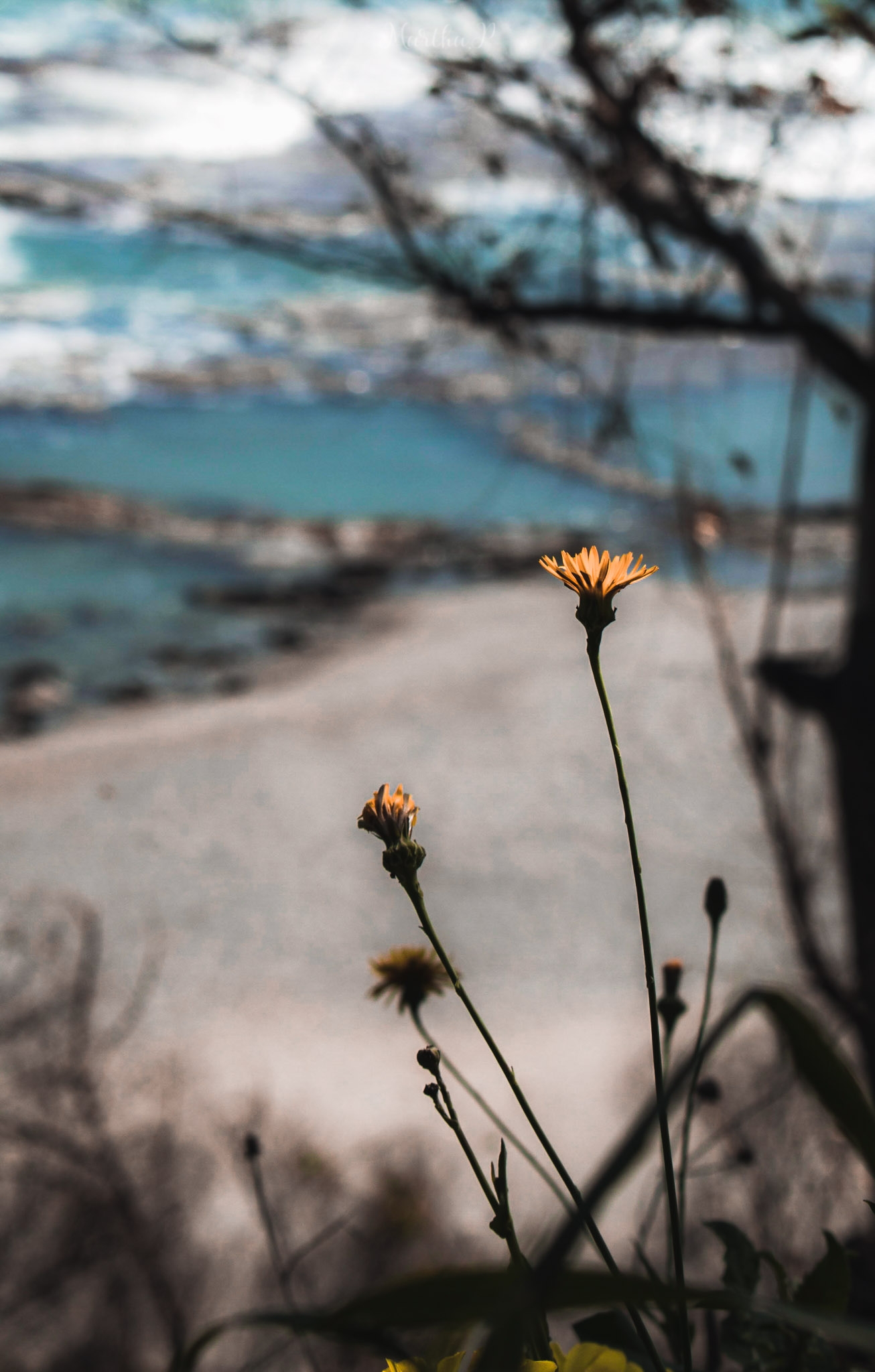 Untitled Photo
