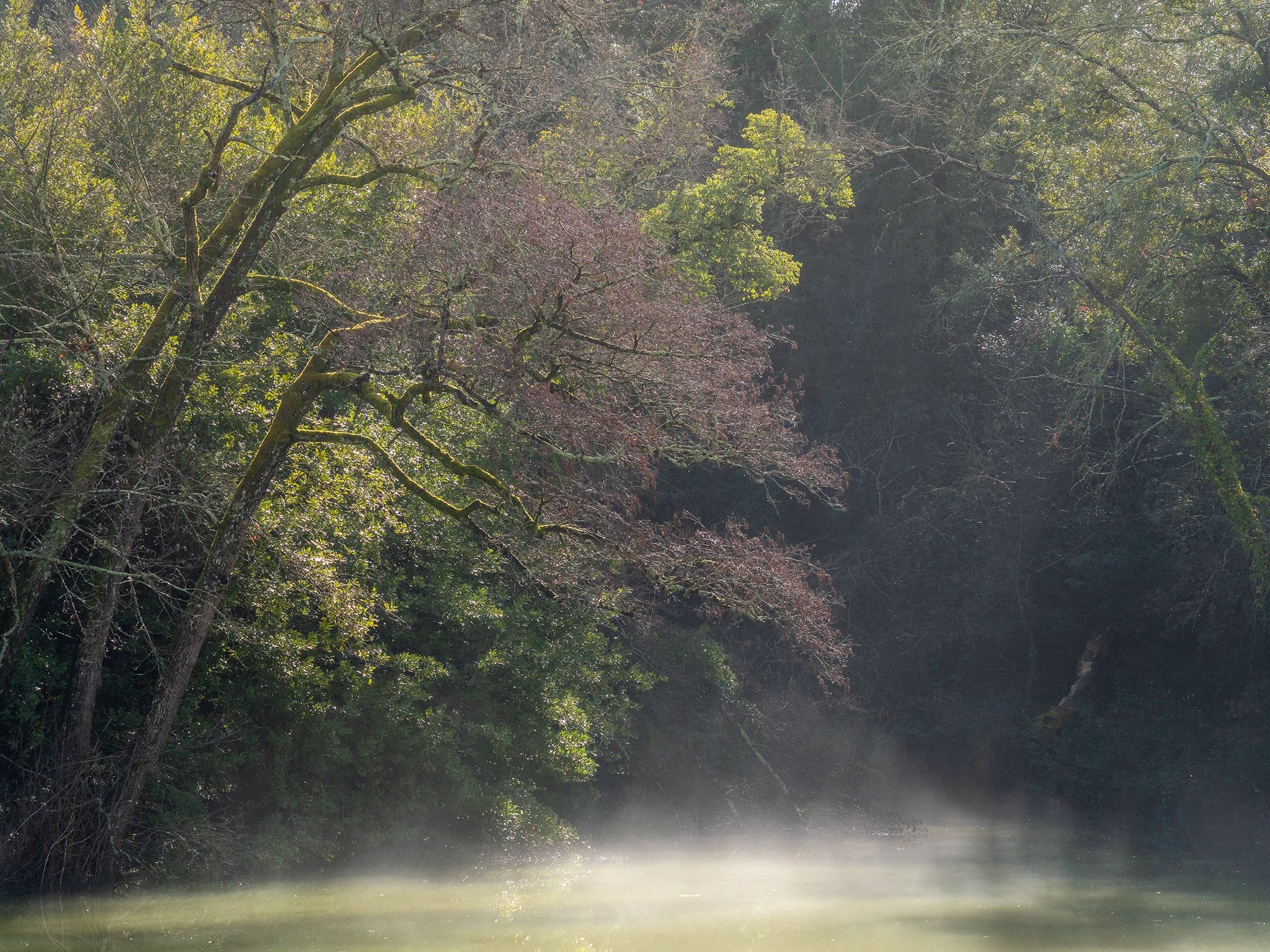 Lago di Pozzolatico, Firenze
