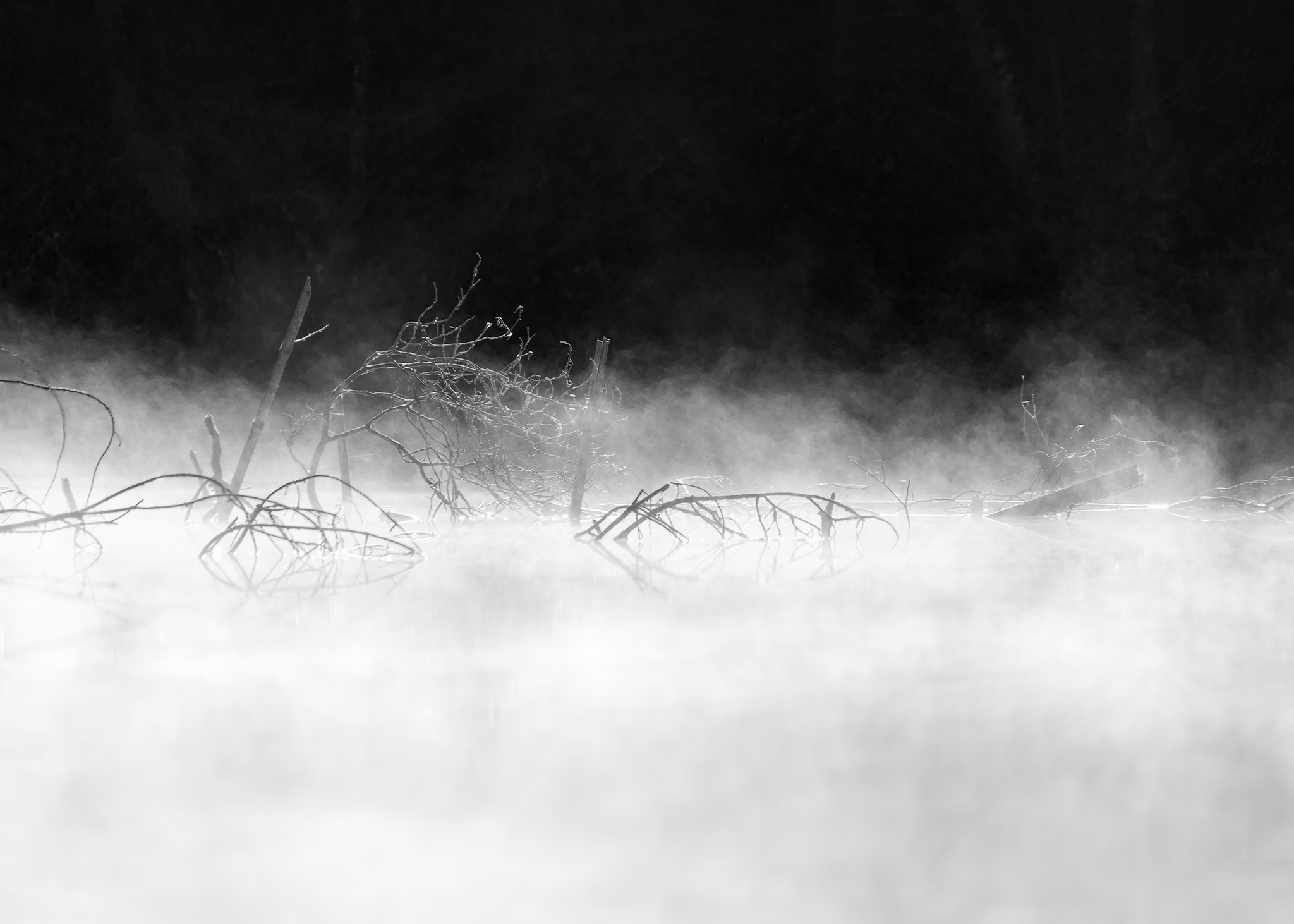 Lago di Pozzolatico, Firenze