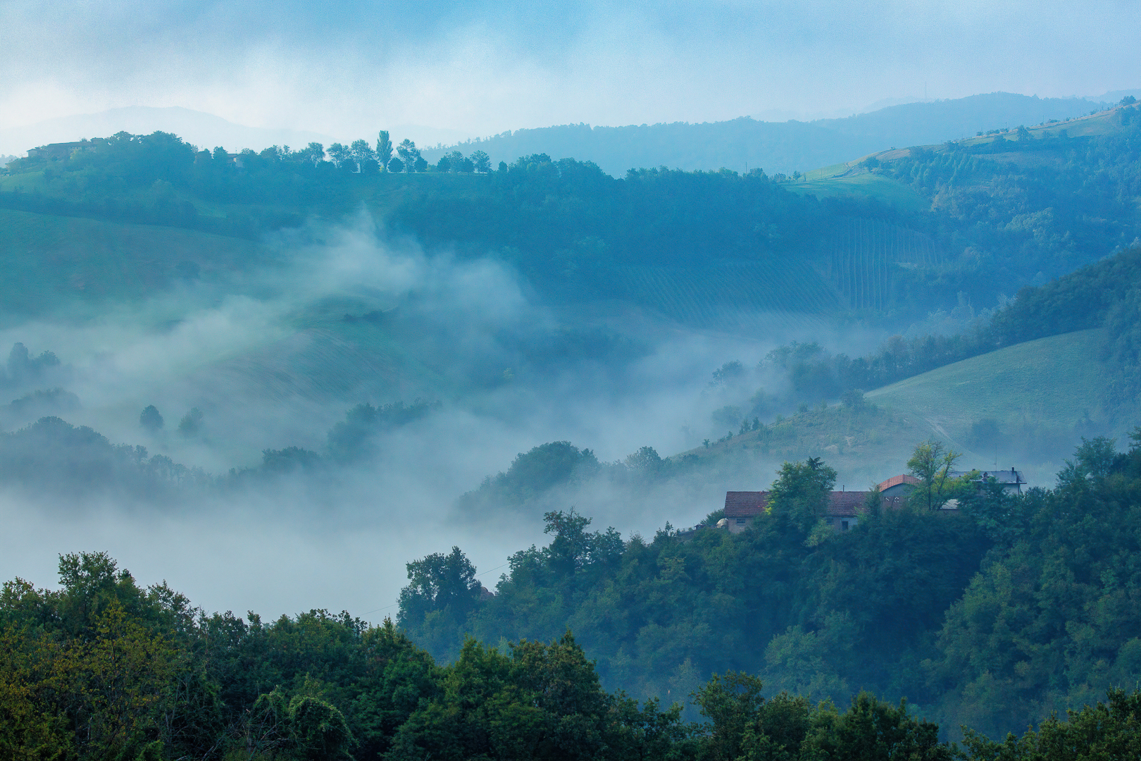 Morning fog in the countryside of Quattro Castella