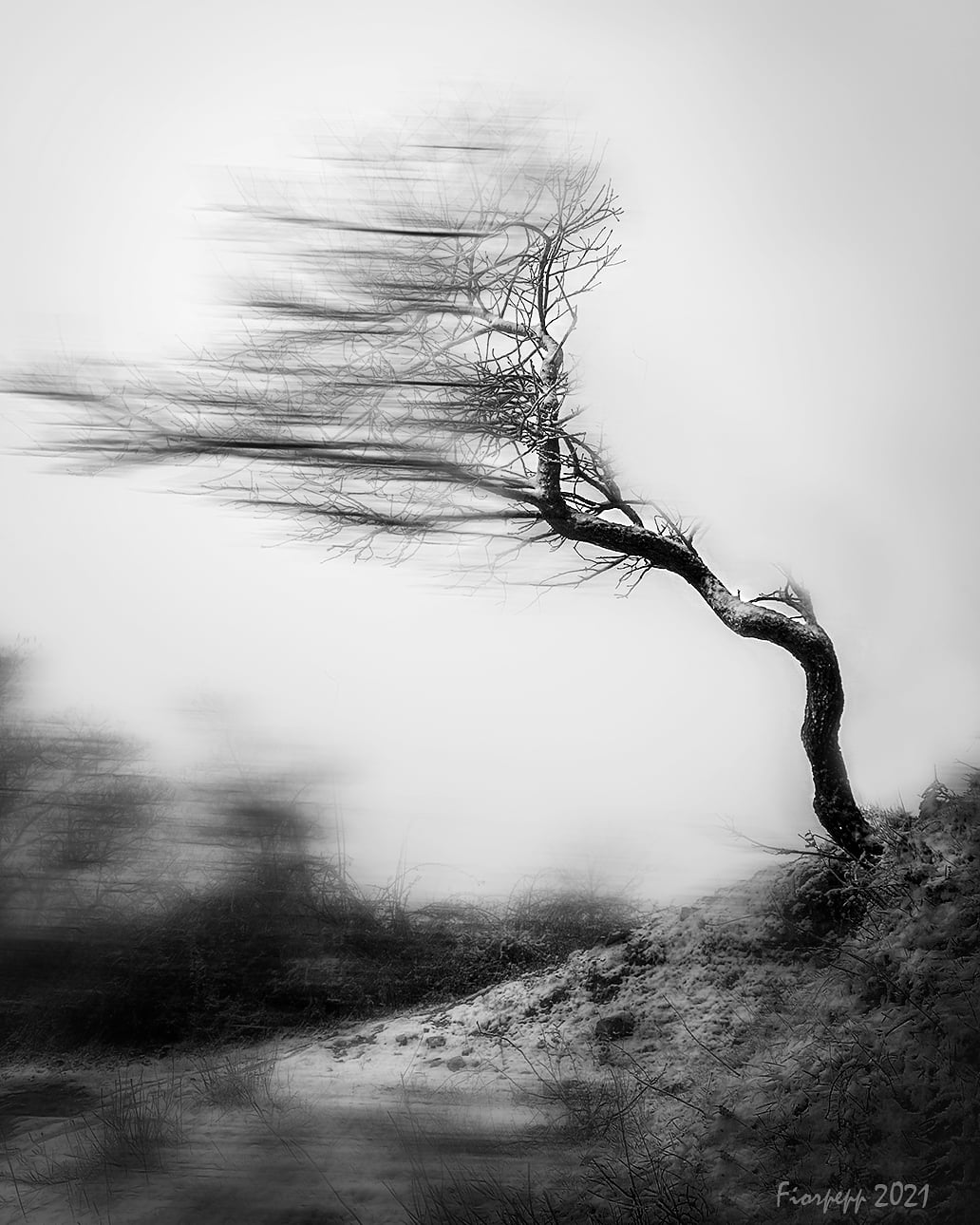 The strength to resist