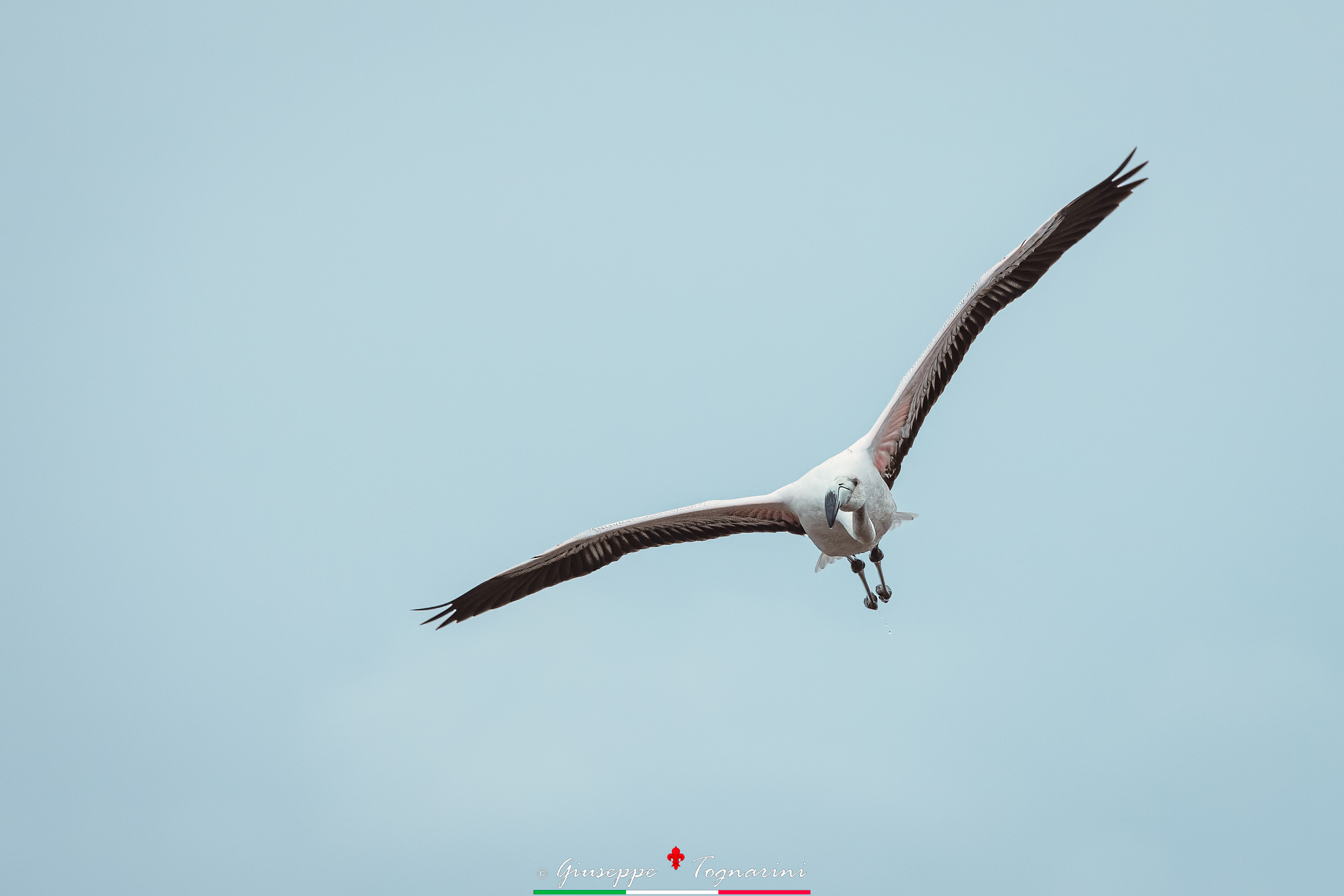 ma cosa c'è laggiù?