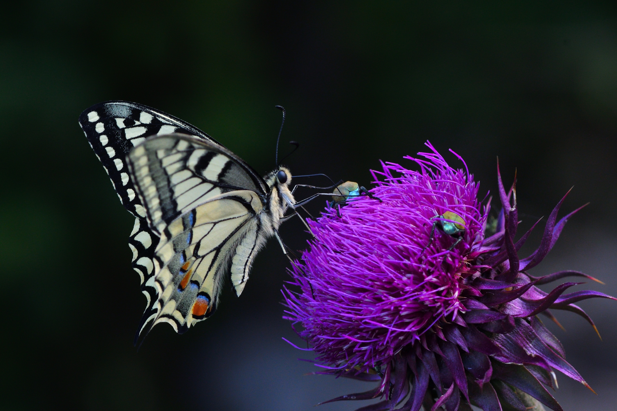 aspettando l'estate...