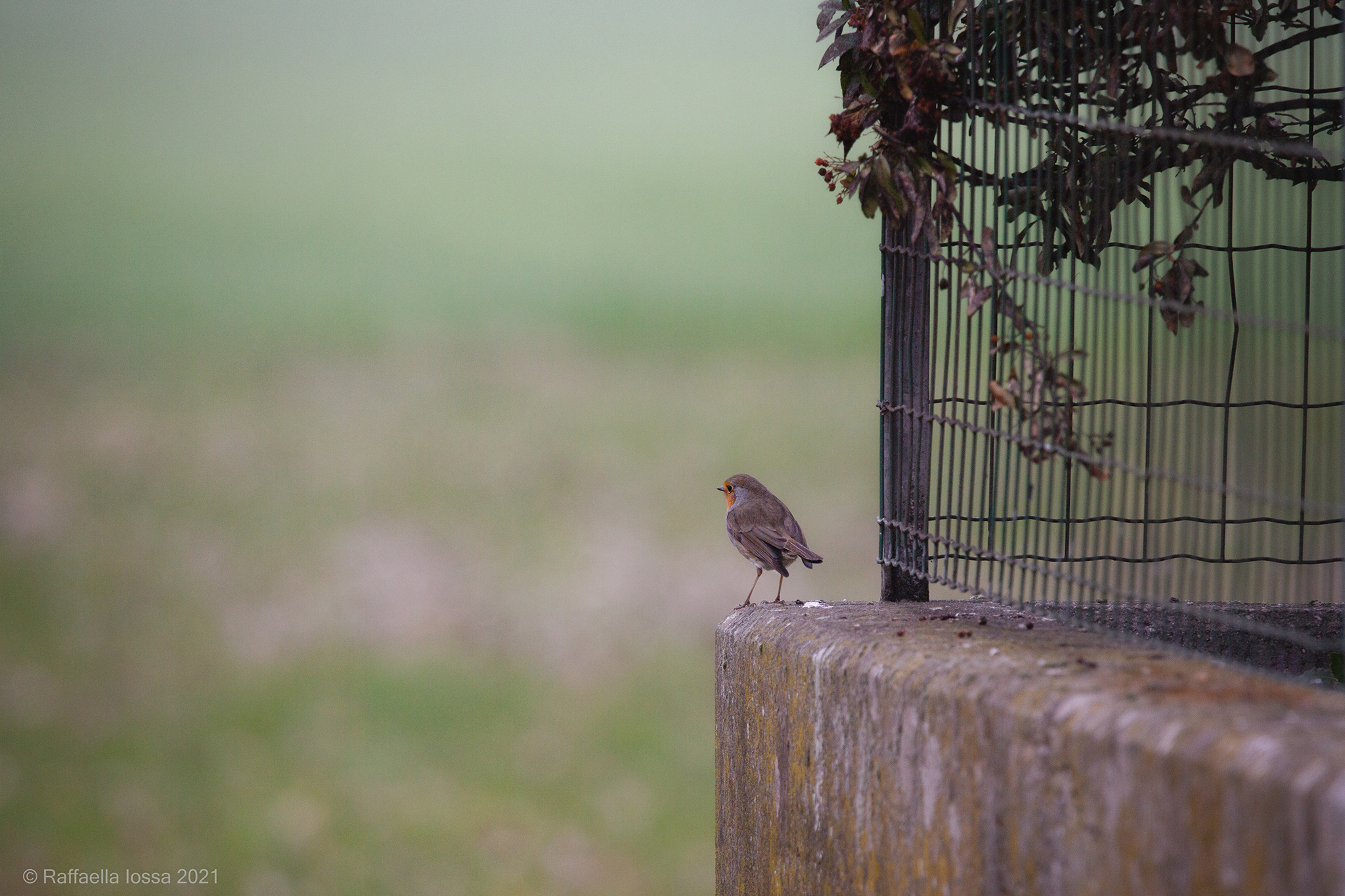 una mattina di marzo
