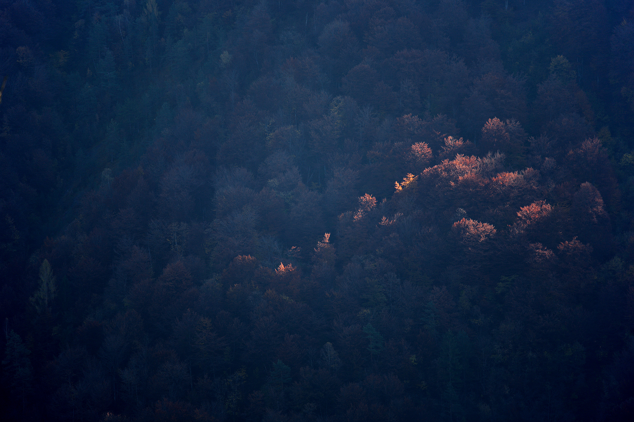 Non ombra
