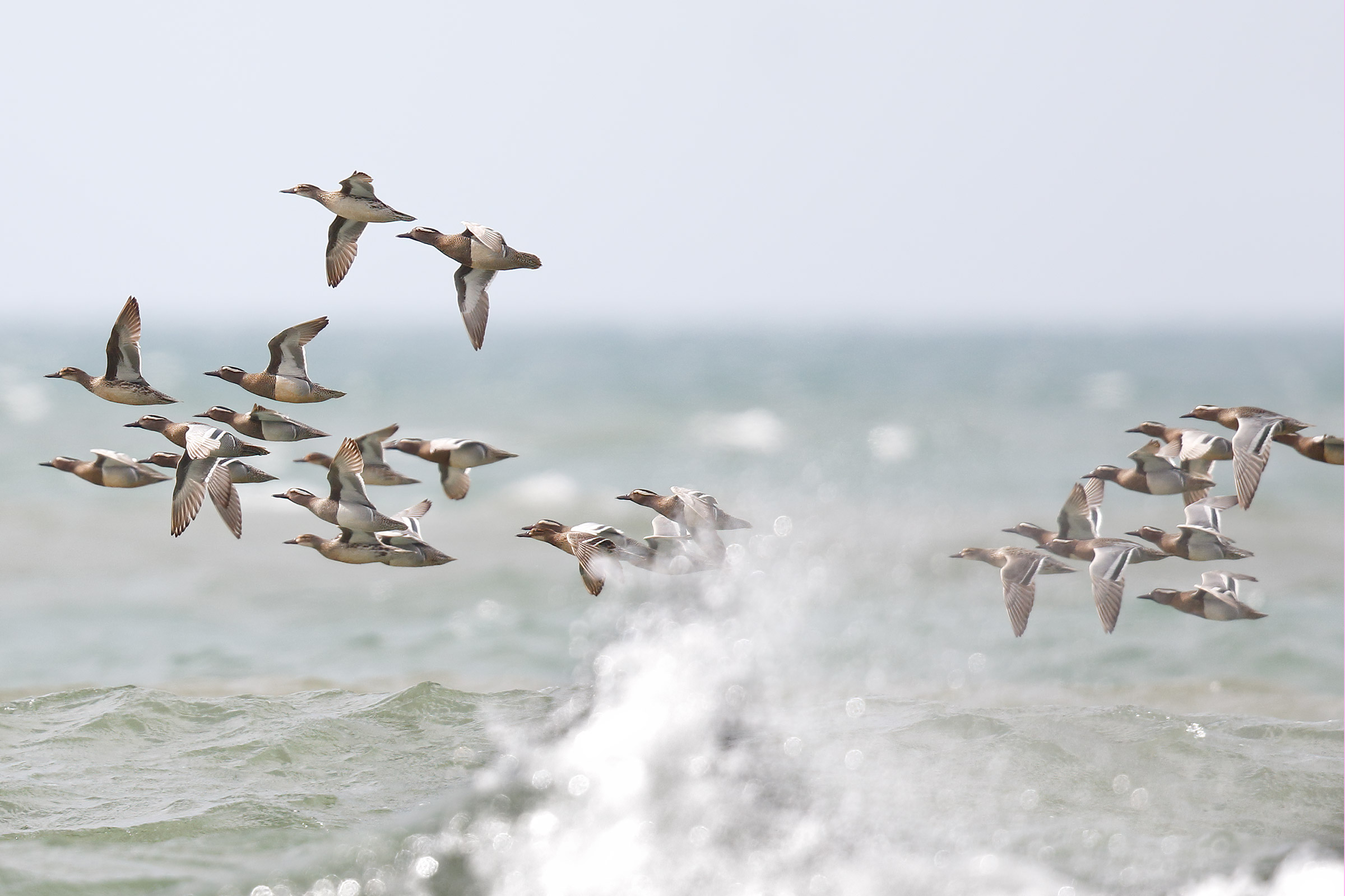 Marzaiola Municipality