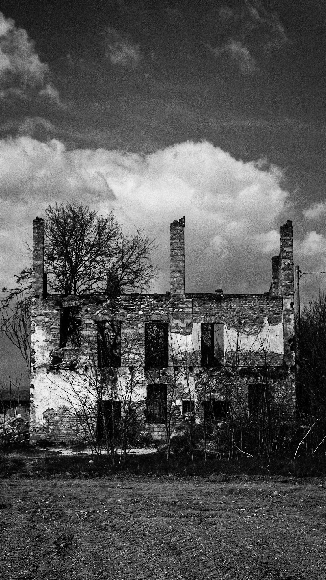 Untitled Photo