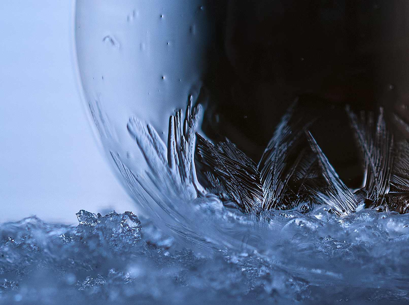 Fly bubble, with your ice wings