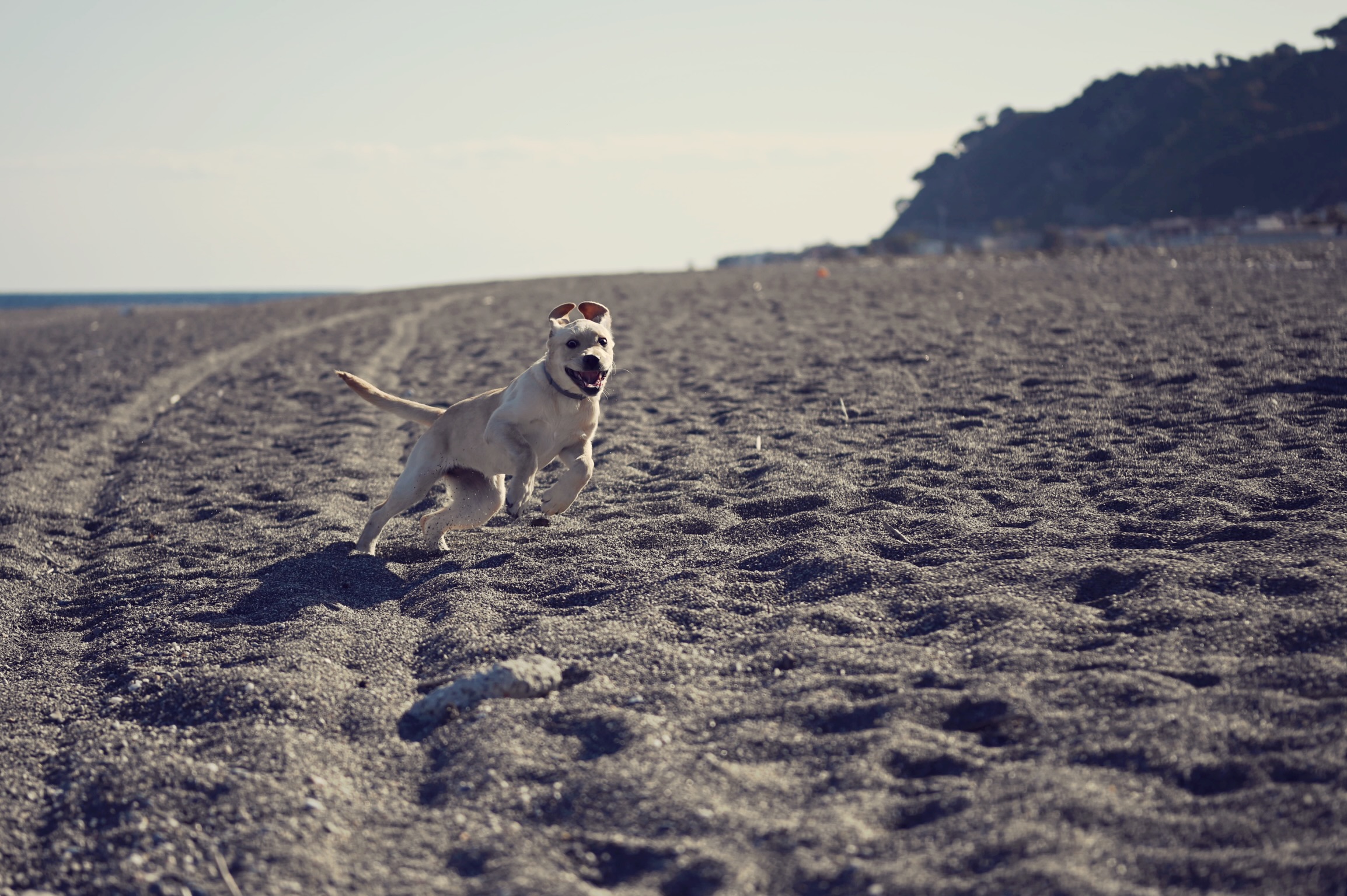Meetings at the sea