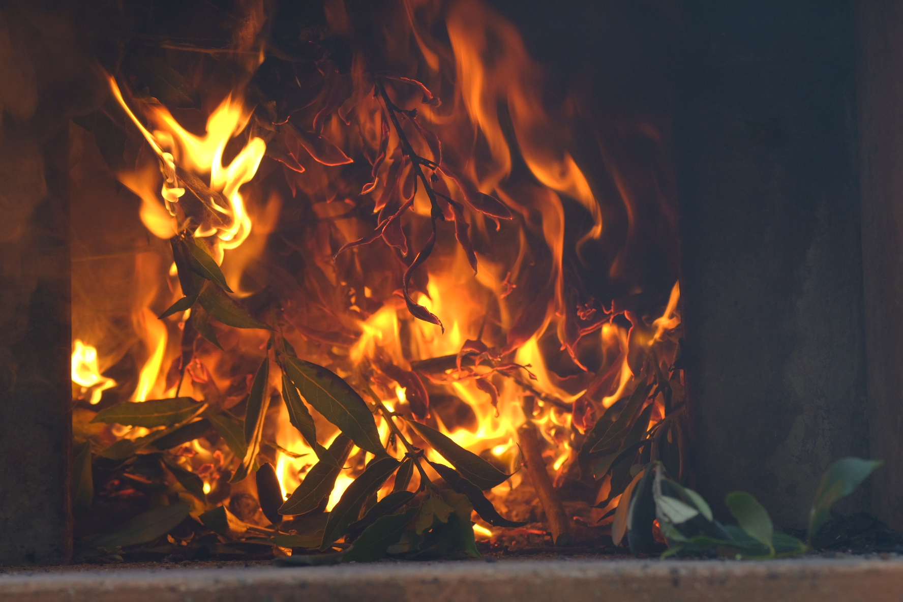 Beauty in simplicity