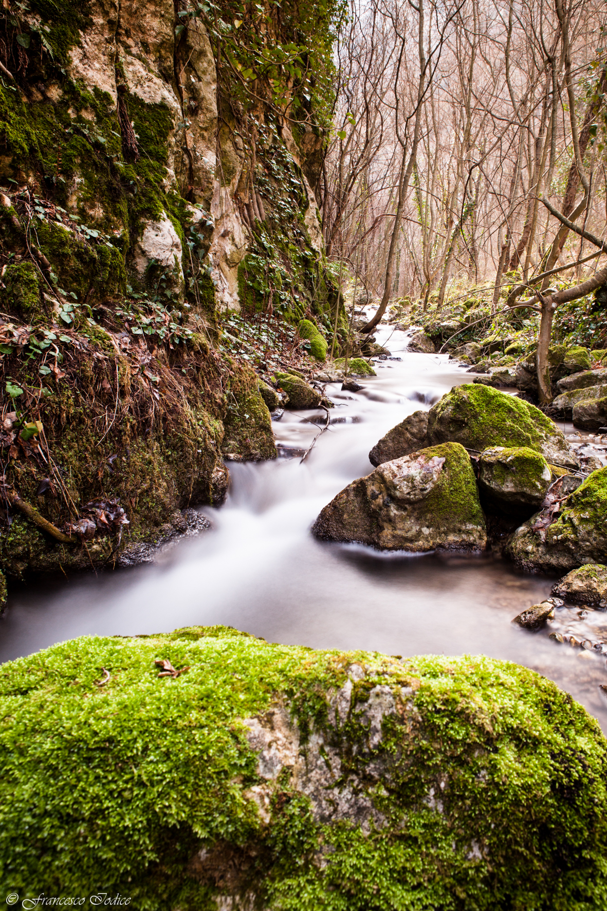 Sagittario Gorge Nature Reserve