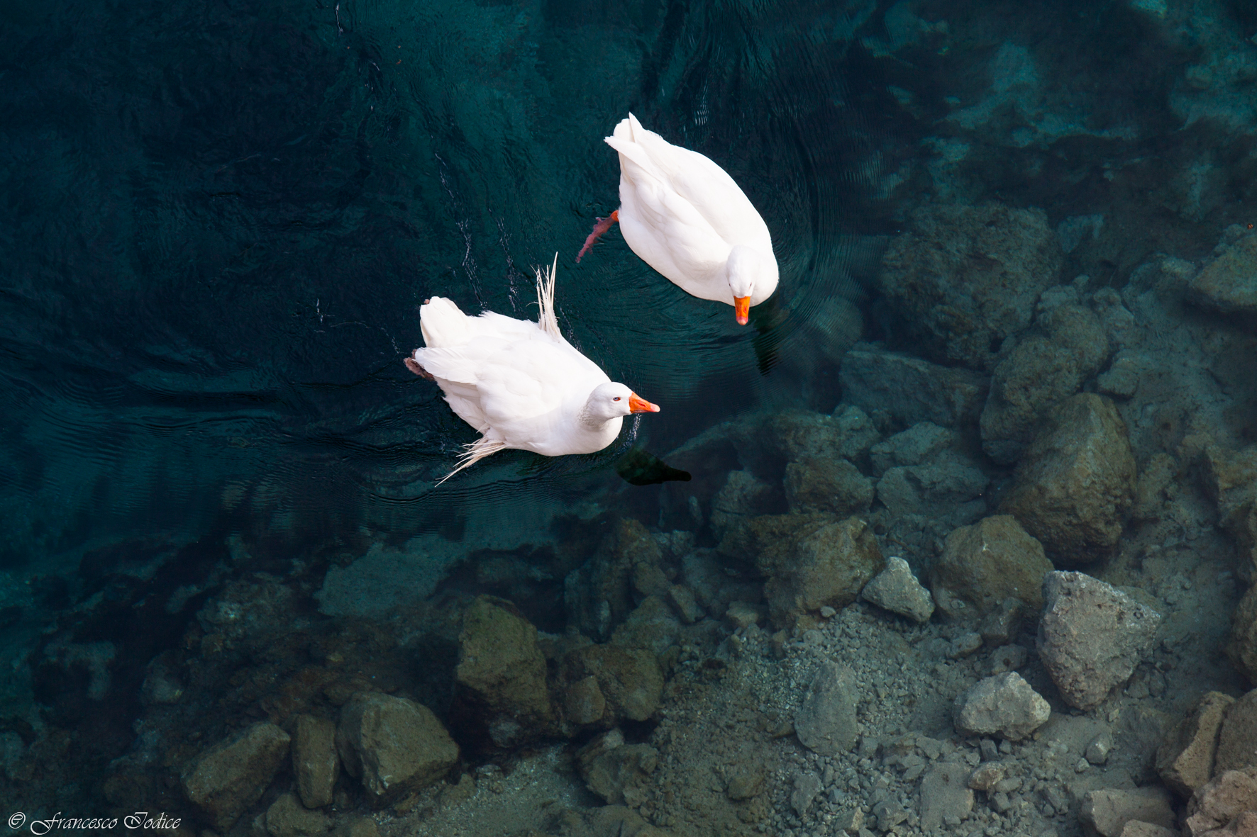 Lago di san Domenico AQ