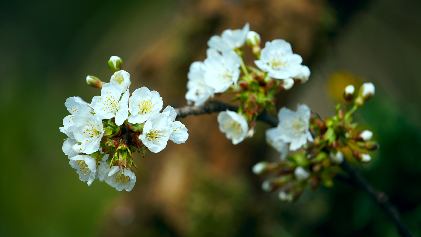 Untitled Photo