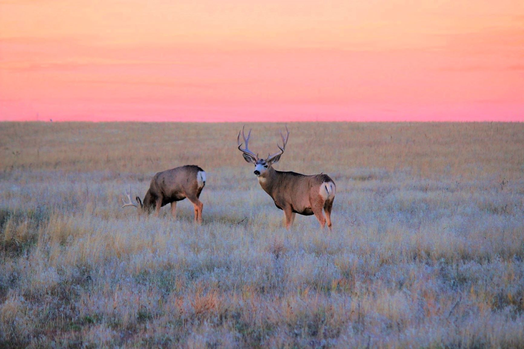Tramonti in Colorado