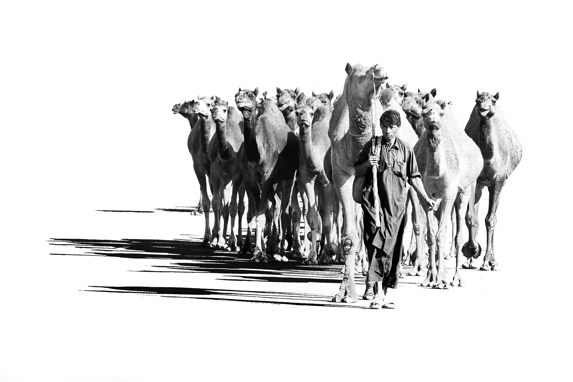 On the streets of Gujarat