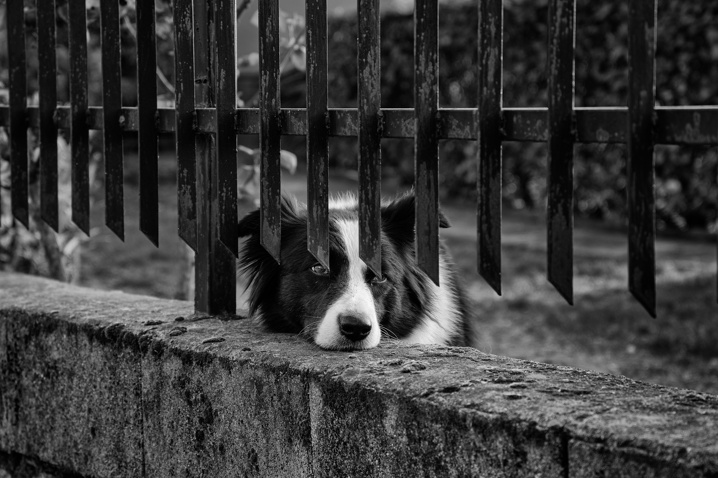 Ancora tutti a casa!