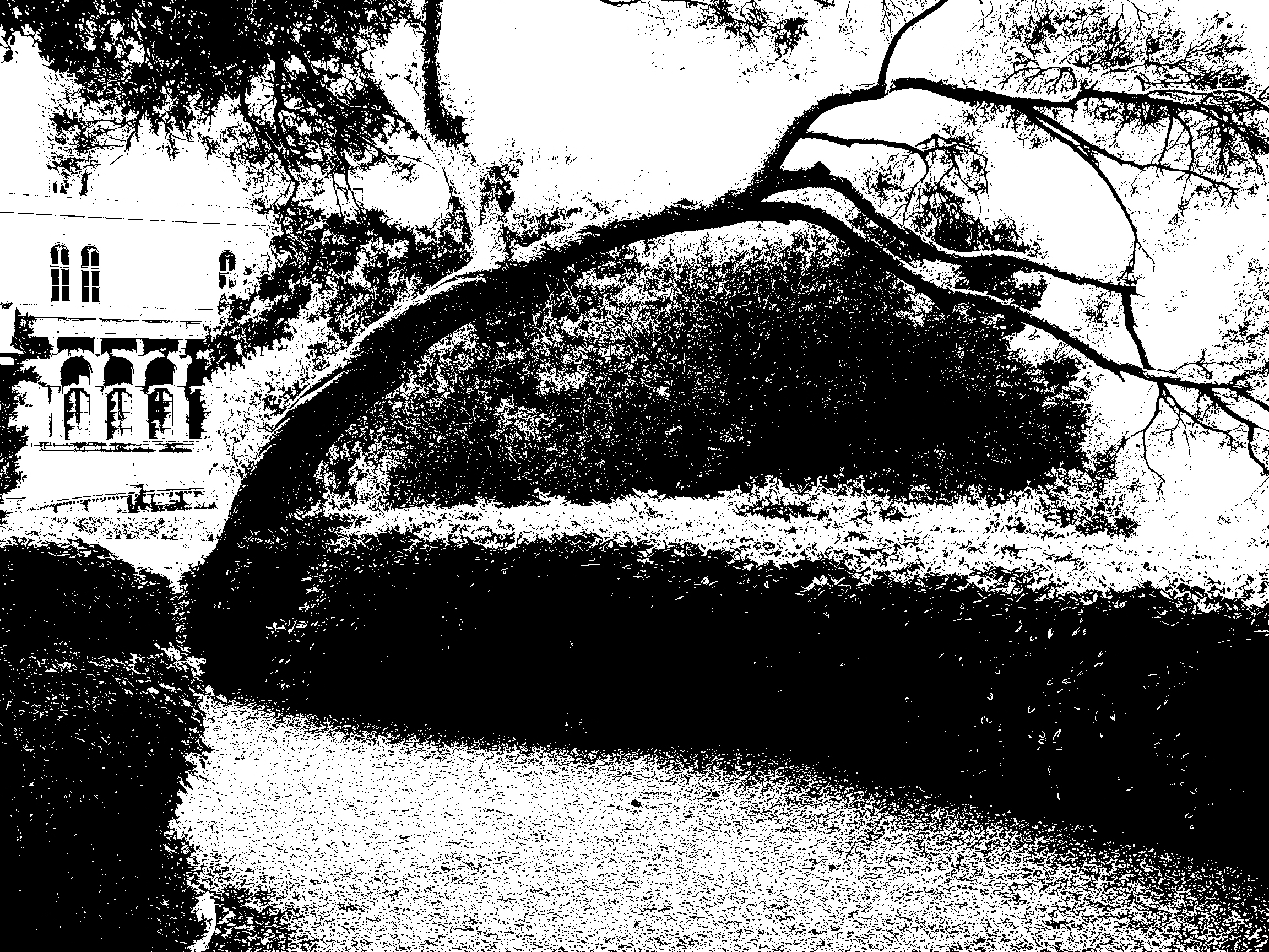 Miramare, Dosing