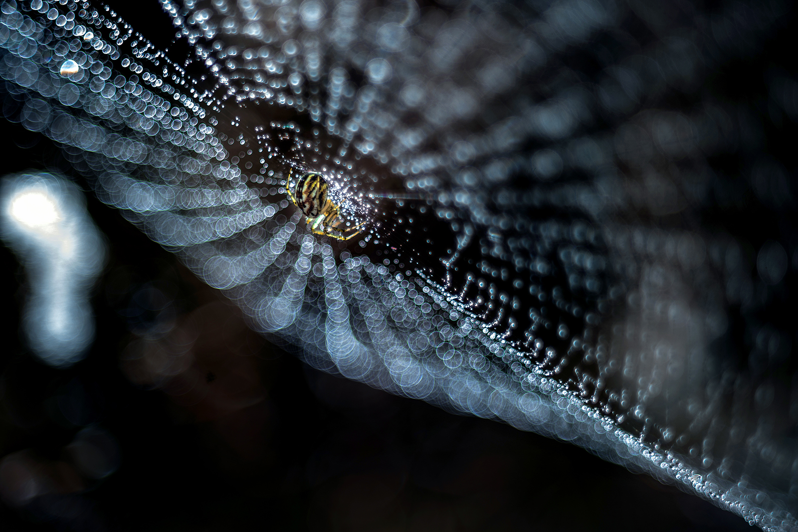 Untitled Photo