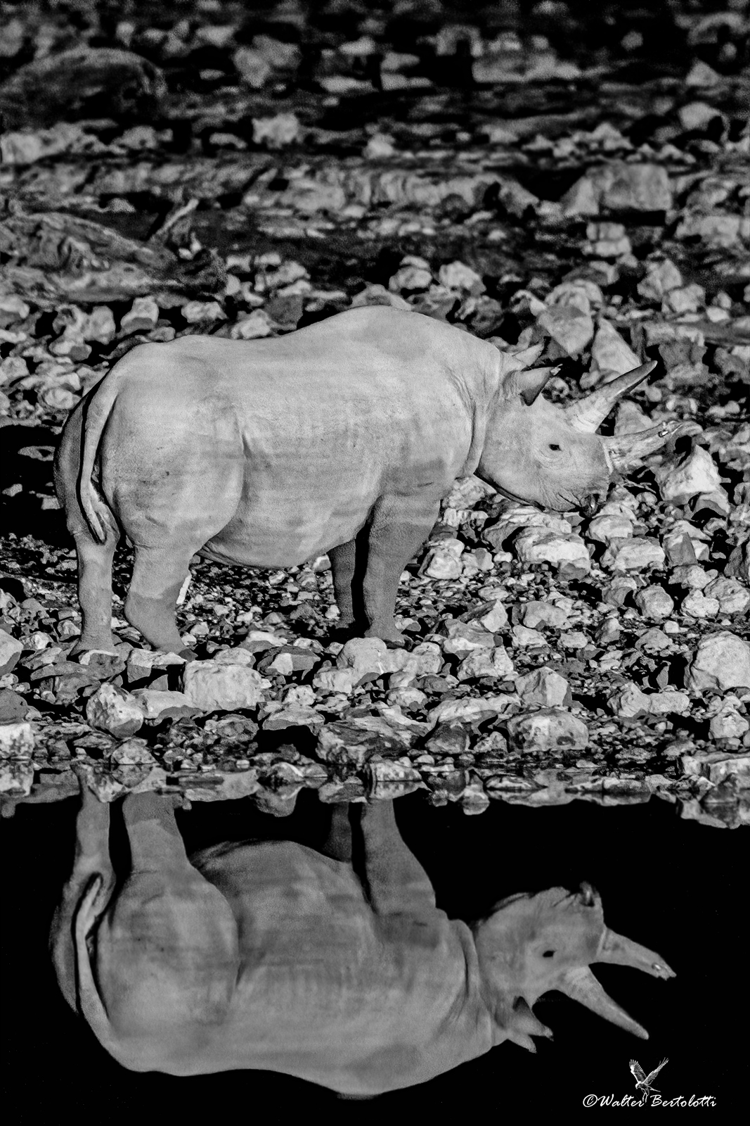 uno specchio nel buio