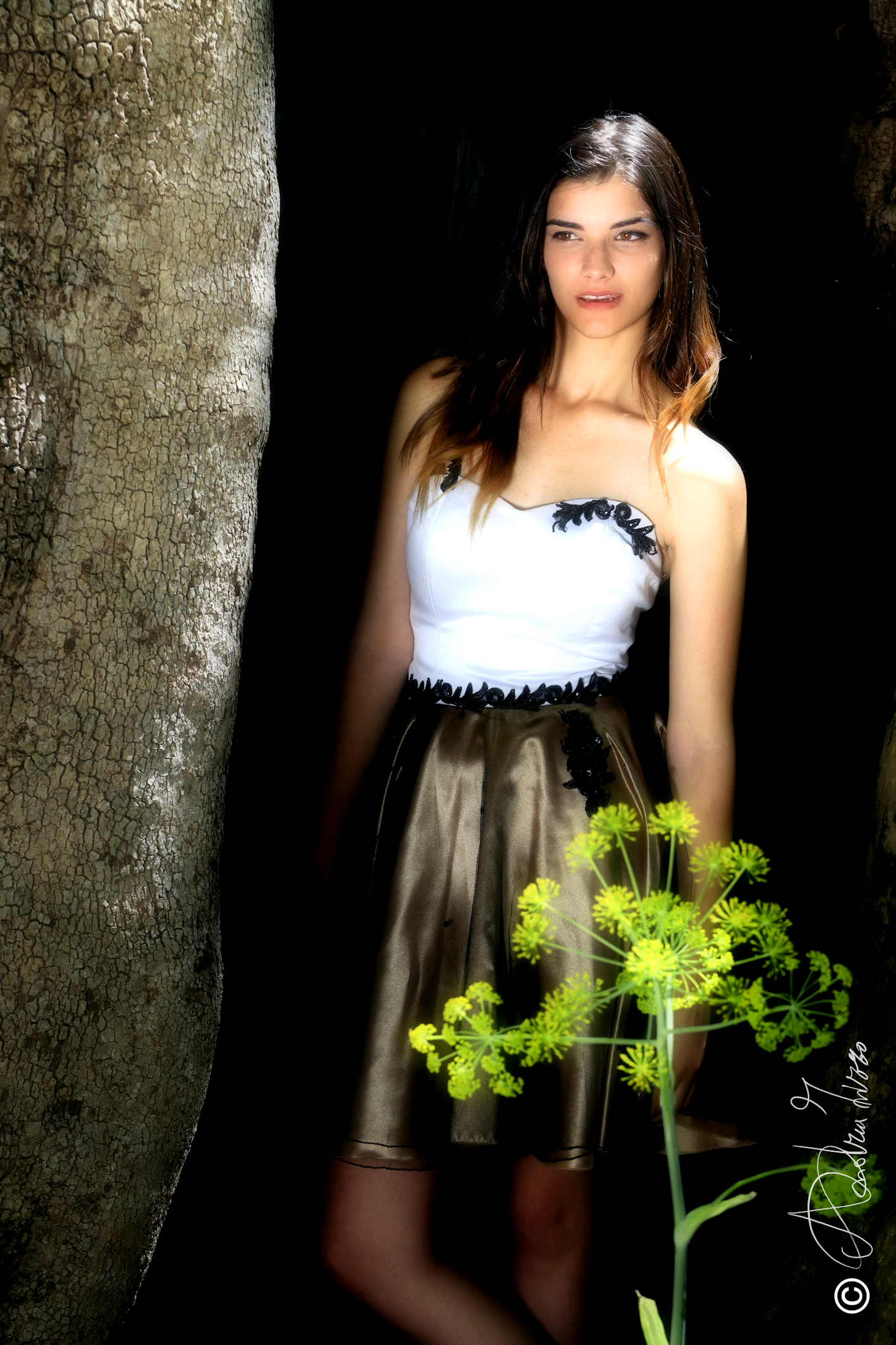 from the darkness beauty