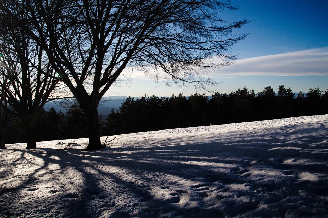 Shadow on snow, Mount Argegna, Apuan-Ge Alps