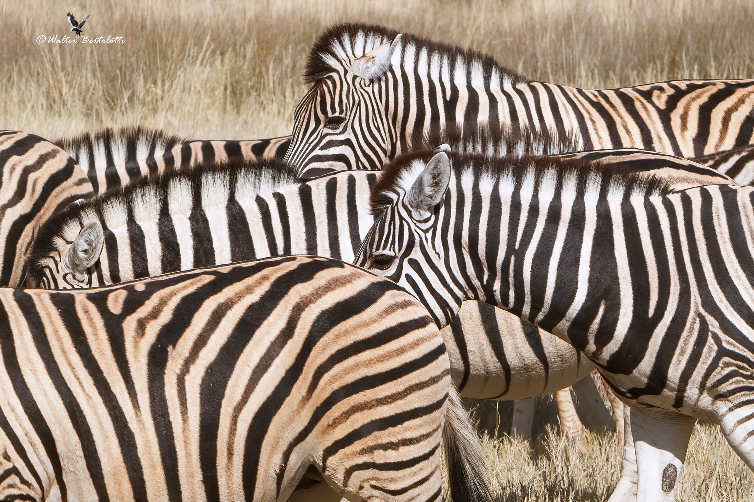 assembramento...consigliato!