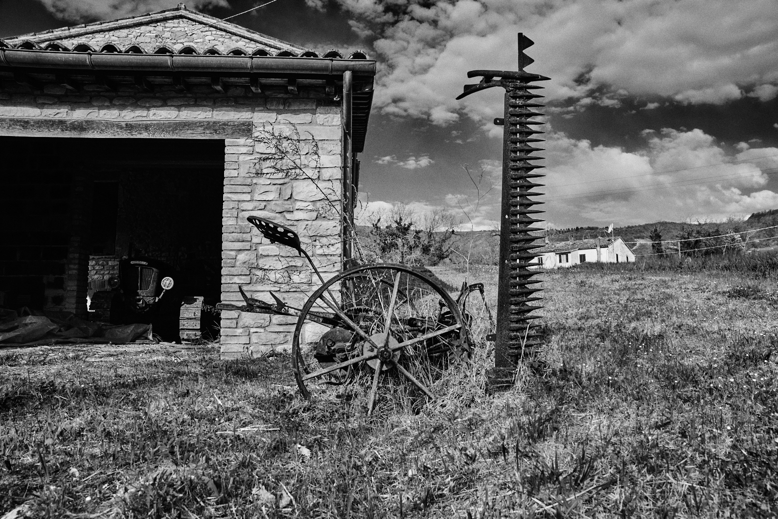 Campagne marchigiane