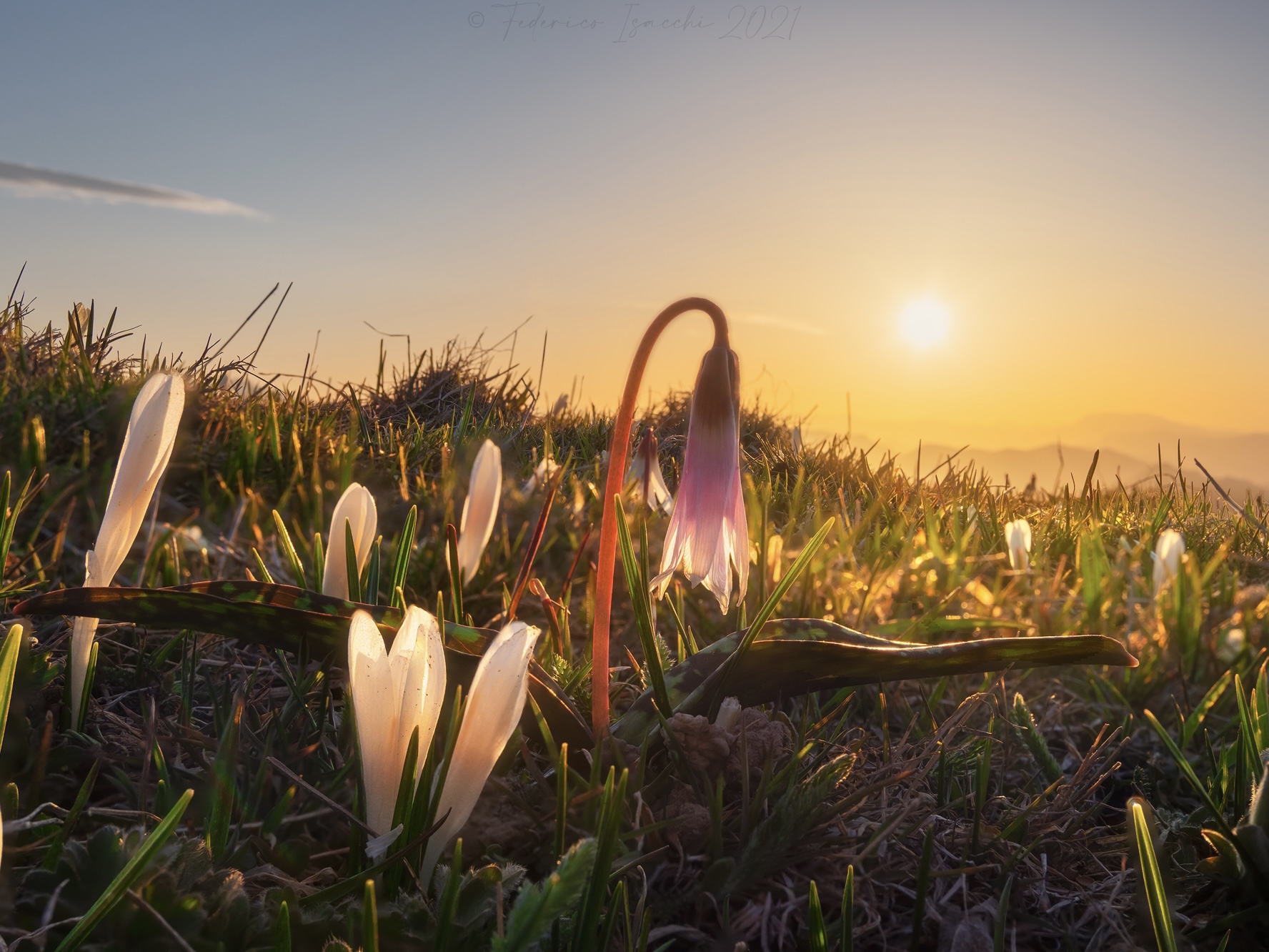 Il risveglio della natura