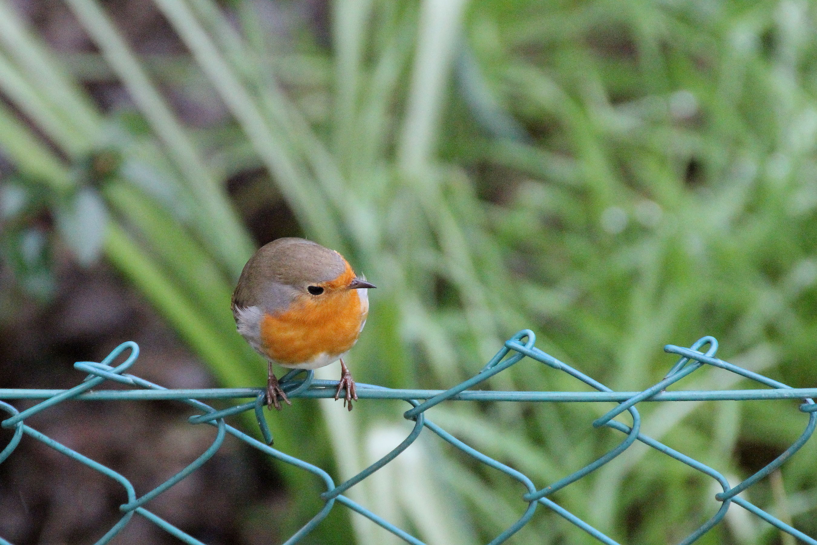 ...Uno sguardo in là