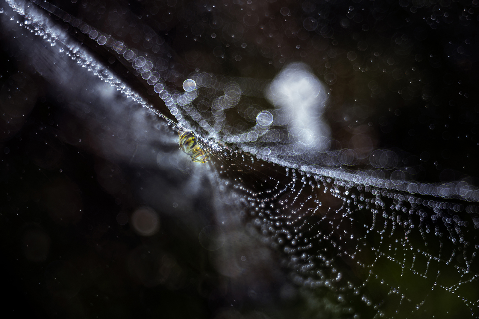 Untitled Photo
