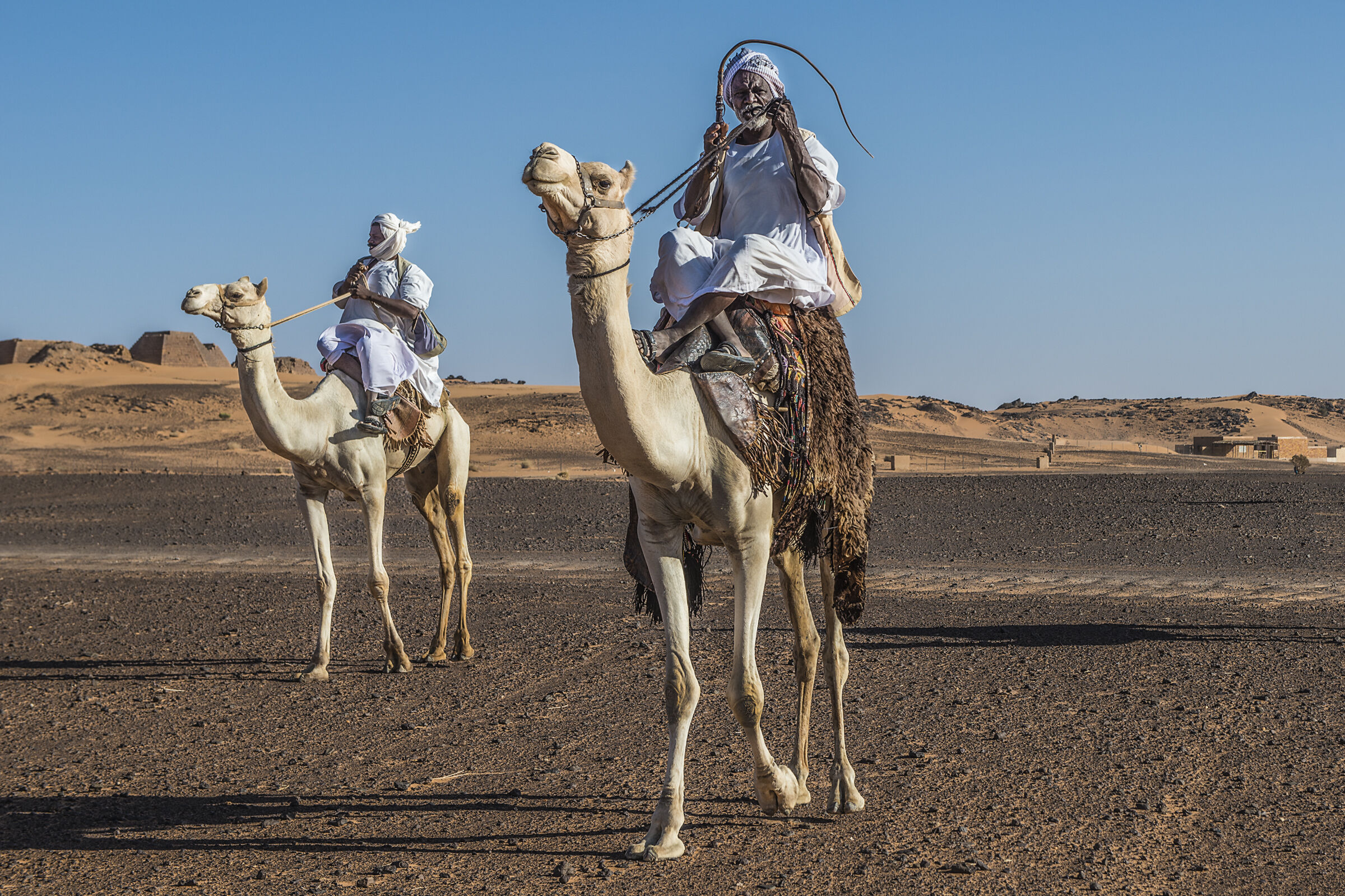 I principi del deserto