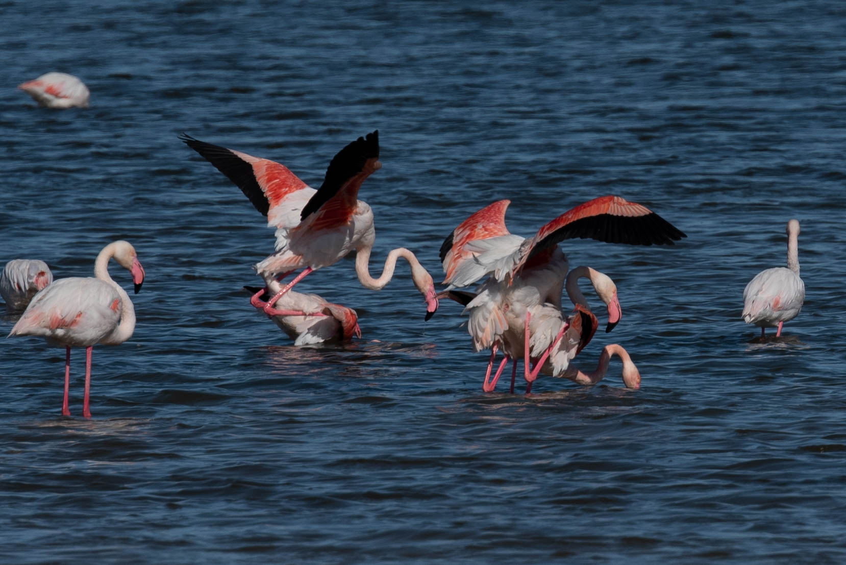 Doppio accoppiamento con guardone (Crop)