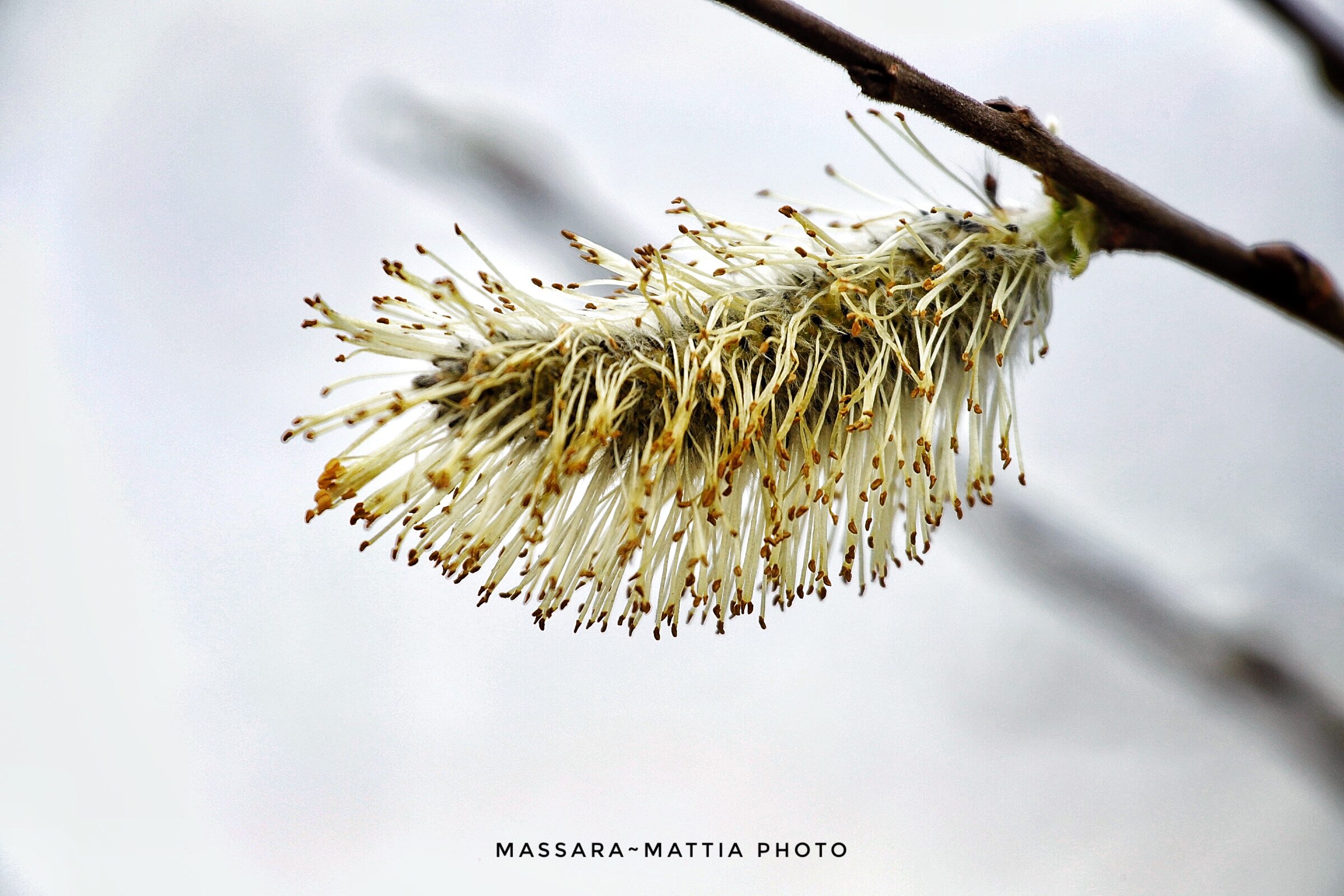 Untitled Photo