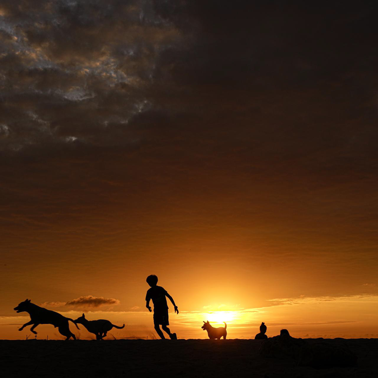 I bei giorni che non capivo