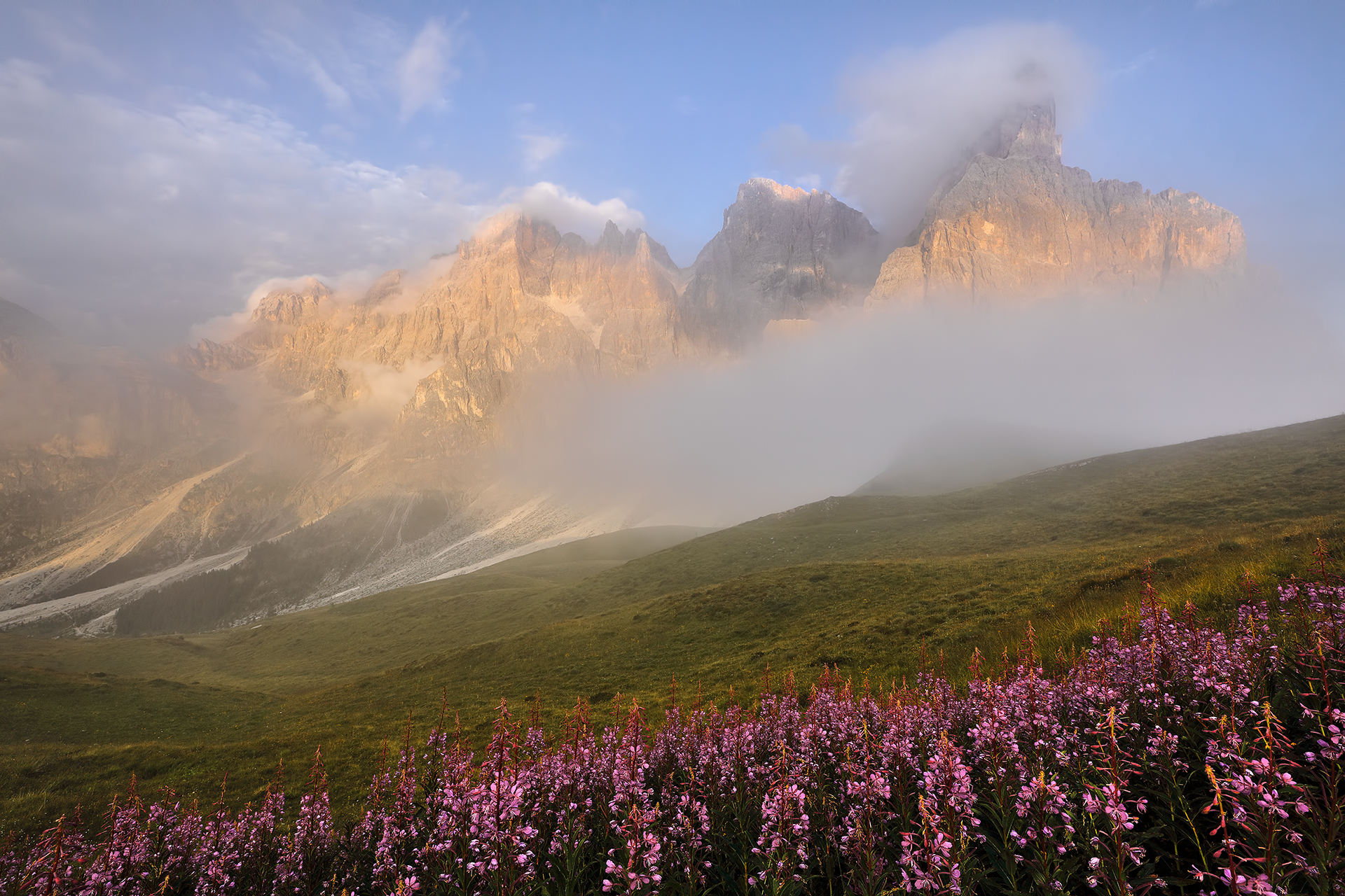 Flowery sunset over the Shovels
