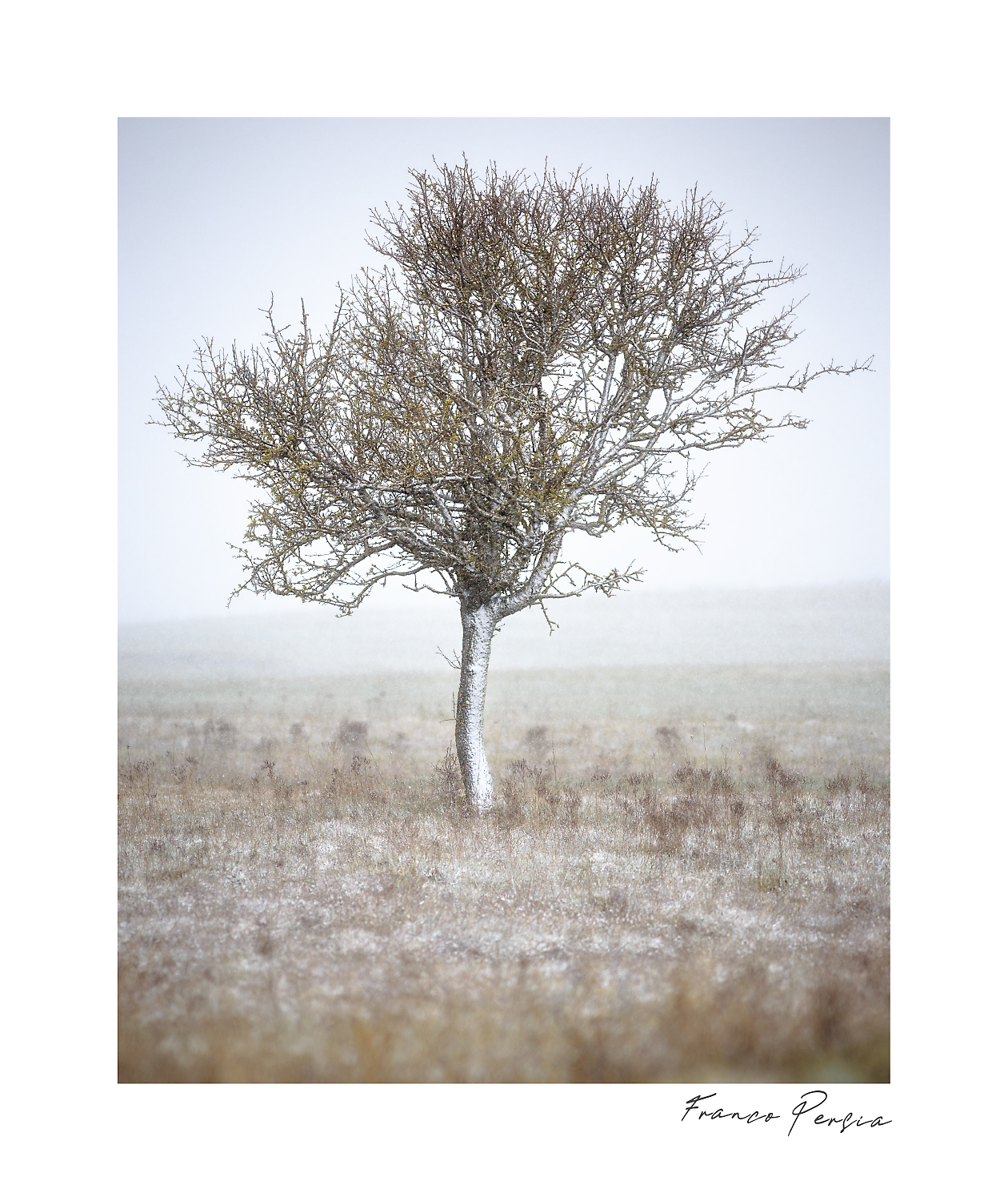 colpo di coda dell'inverno