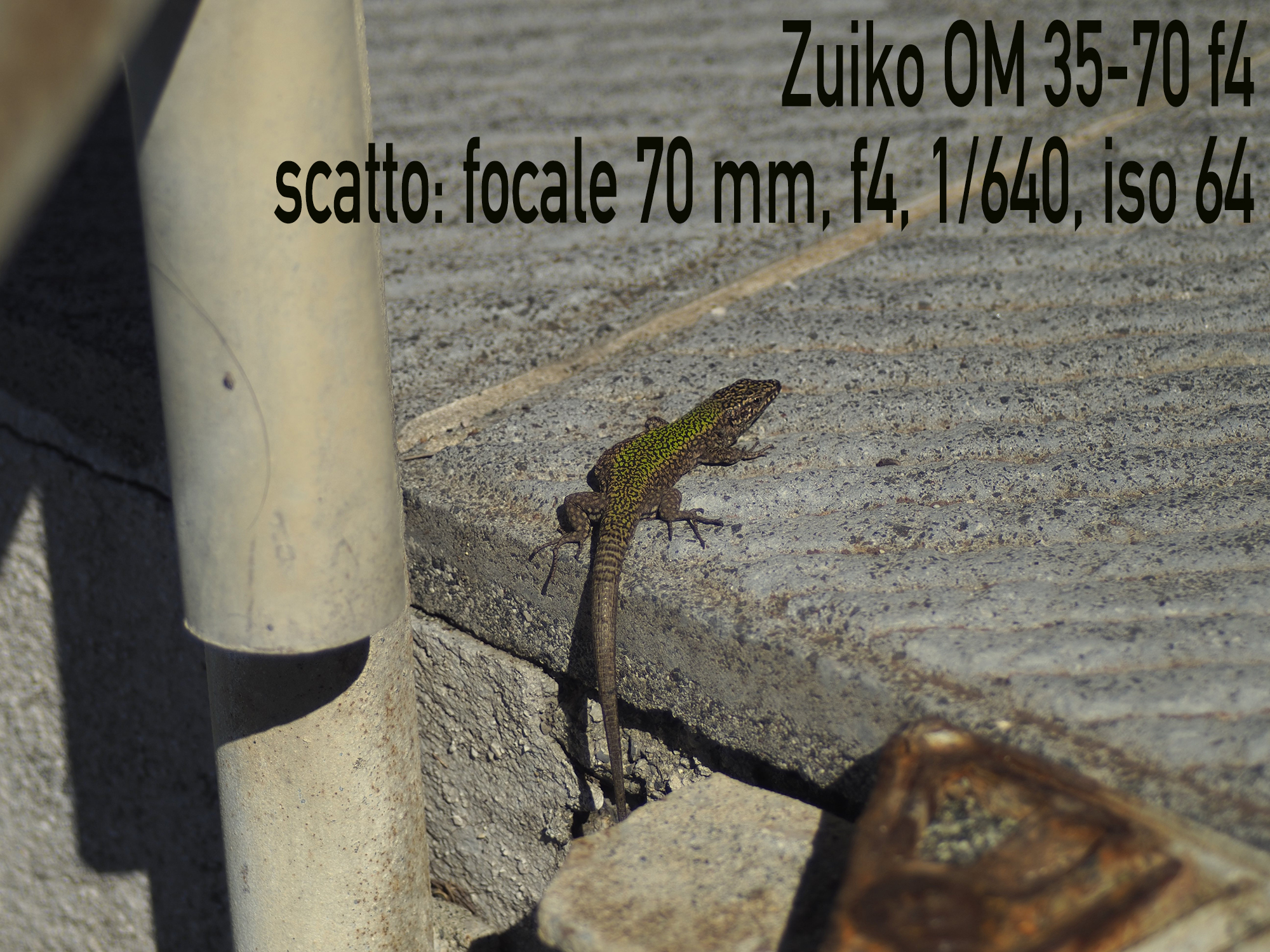 scatto OMZuiko 35-70