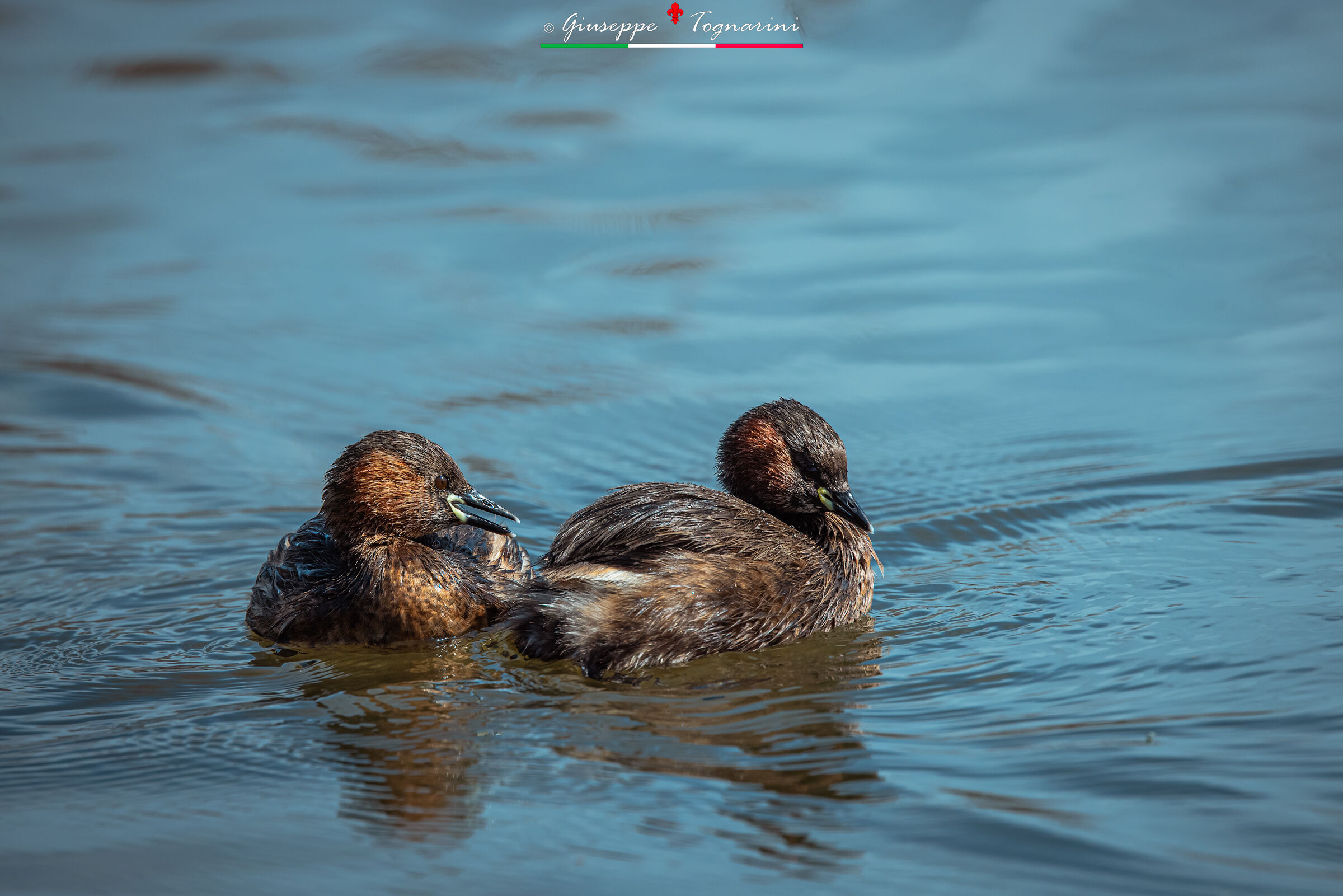 non darmi le spalle!