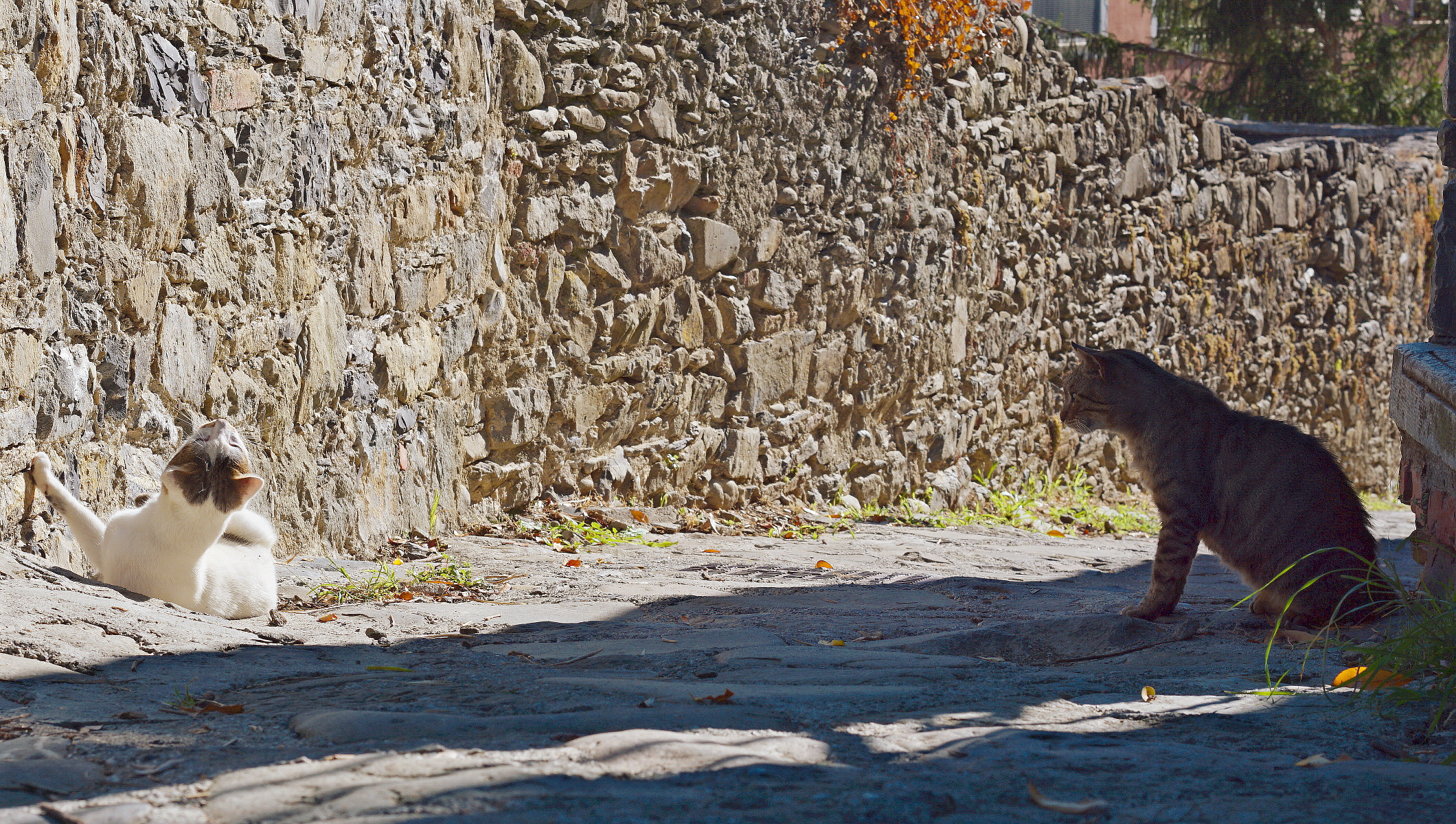 Too much sun makes bad jokes!